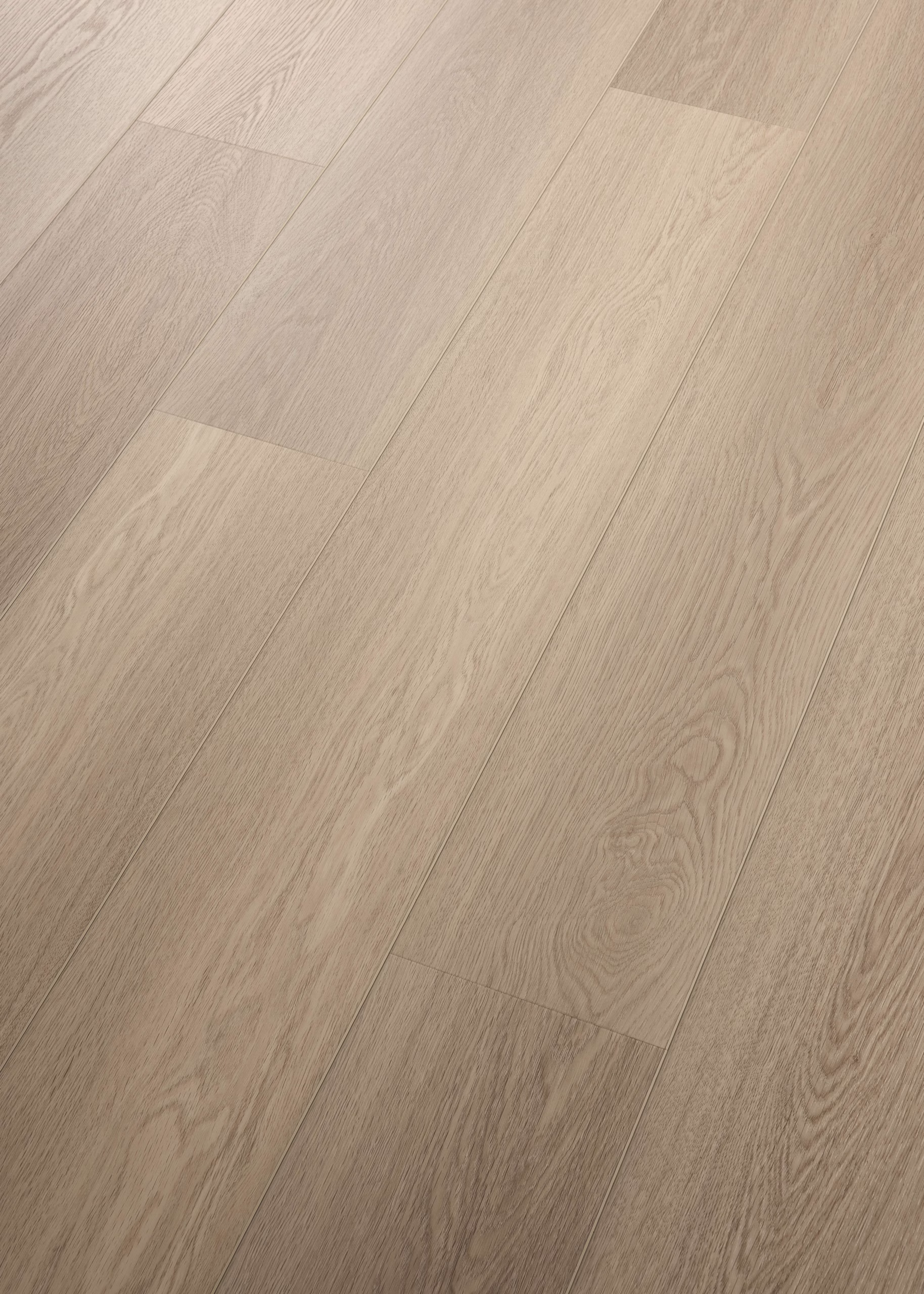 COREtec Authentics Alberta 50LVRE4851 – Perspektivansicht des Herstellers