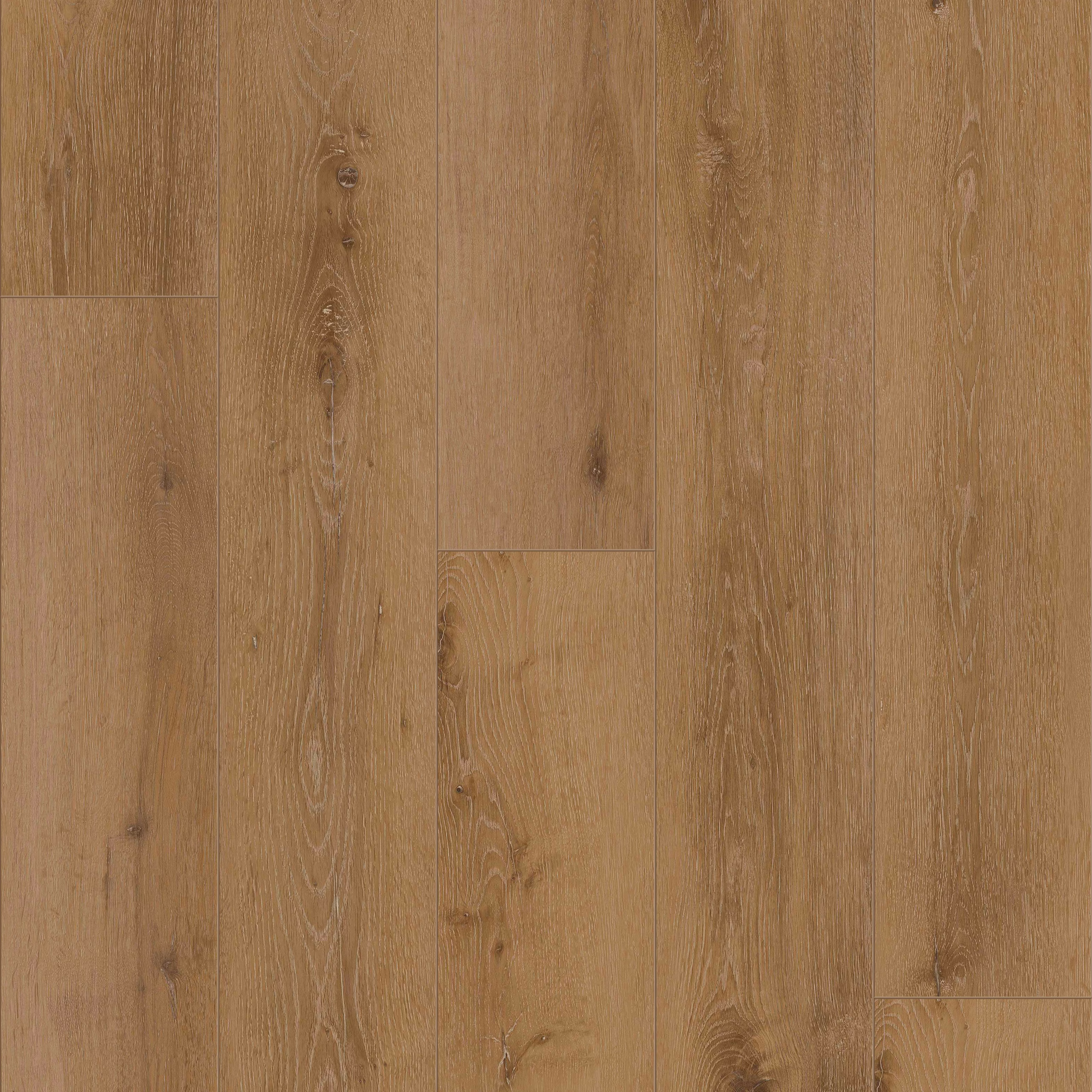 COREtec Flexile | Regina · Flächenbild COREtec Flexile | Regina · Flächenbild