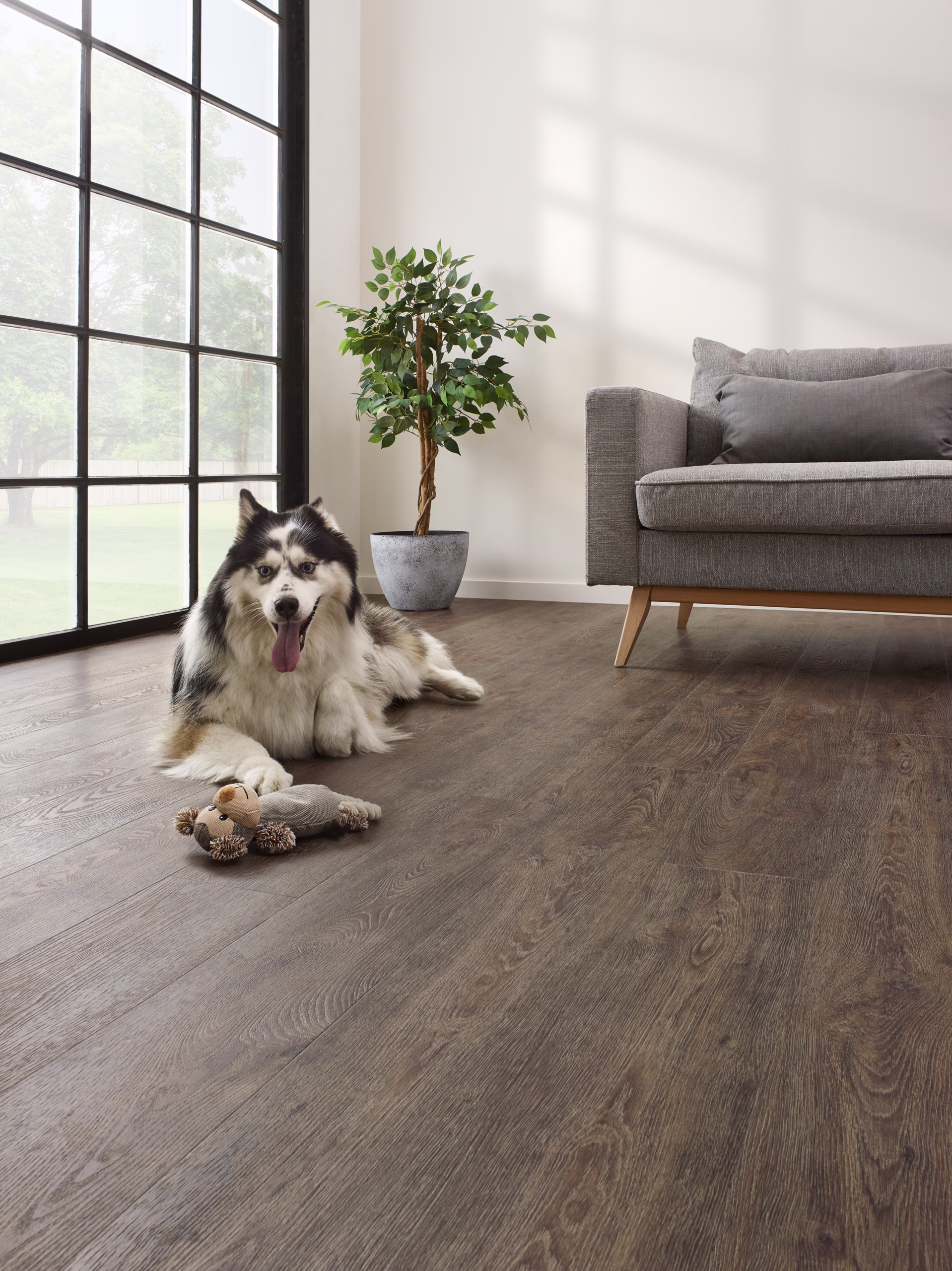 COREtec The Essentials Jasper Oak 01 in einem Wohnraum mit Hund – Herstellerbeispiel