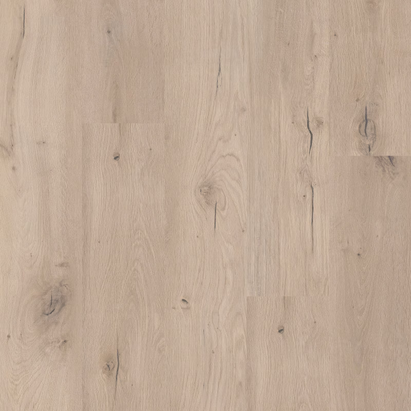 COREtec Flexile | Forest · Flächenbild COREtec Flexile | Forest · Flächenbild