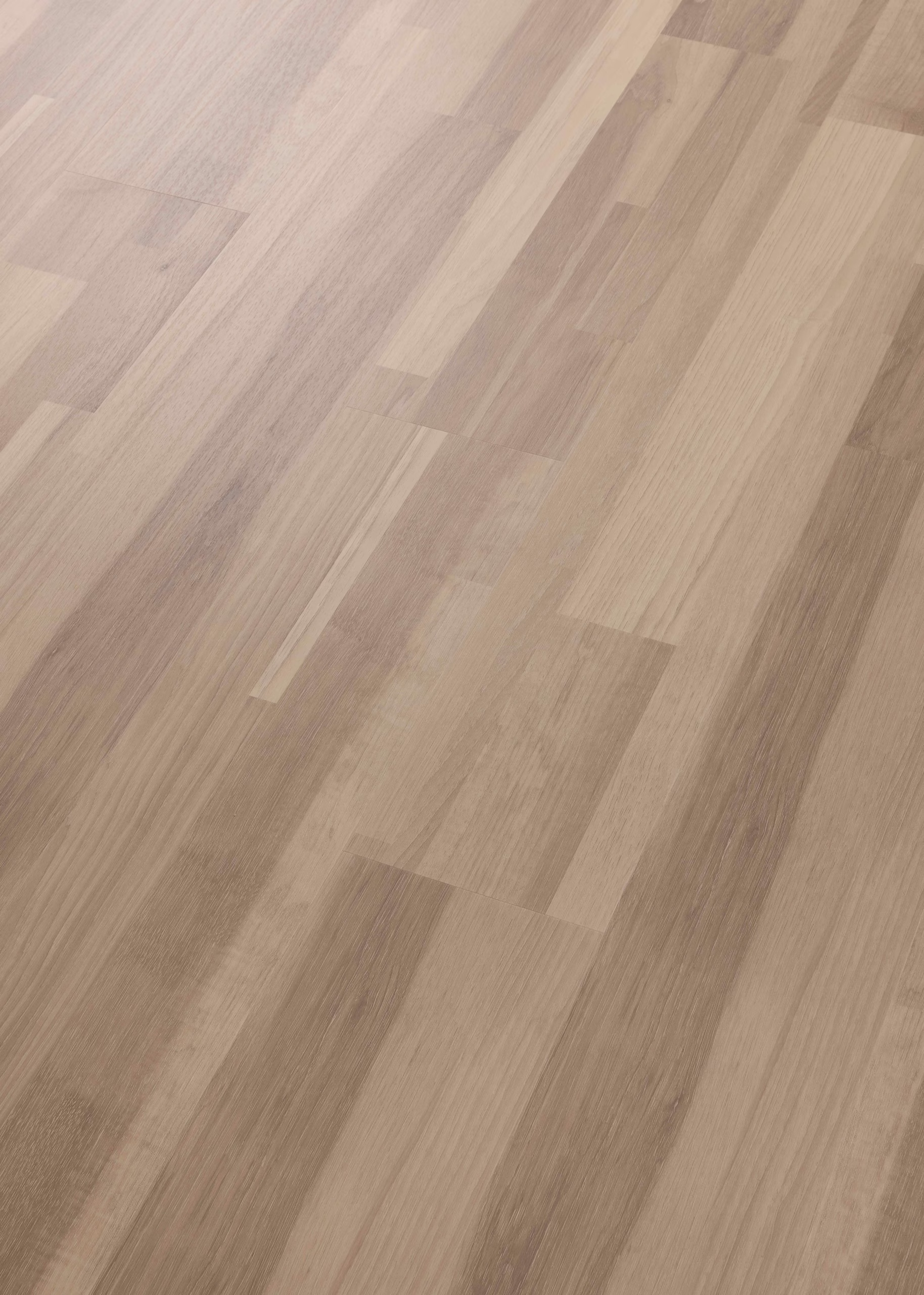 COREtec ProPlus Excalibur 50RLV4557 – Perspektivansicht des Herstellers