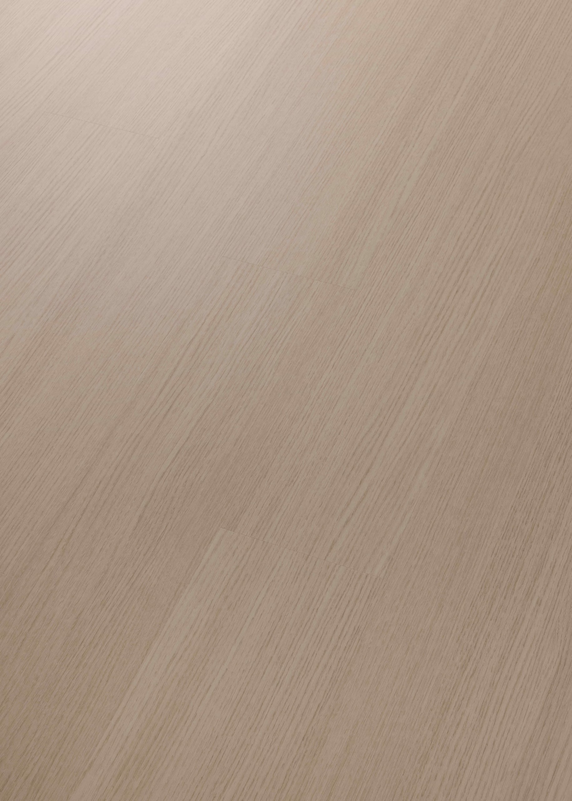 COREtec ProPlus Palazzo 50RLV4651 – Perspektivansicht des Herstellers