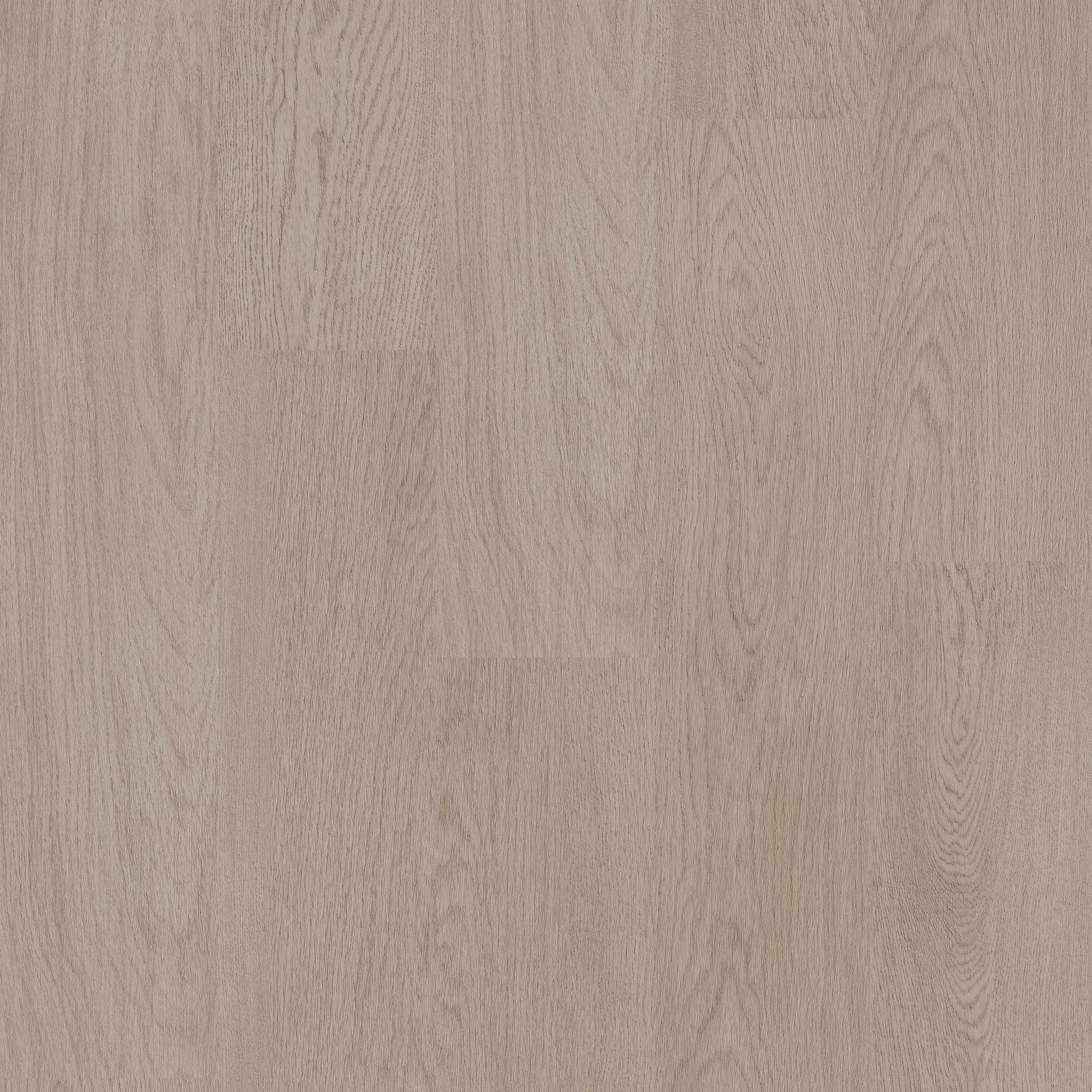 COREtec ProPlus Wynn 50RLVR4416 – Dekorfläche des Herstellers