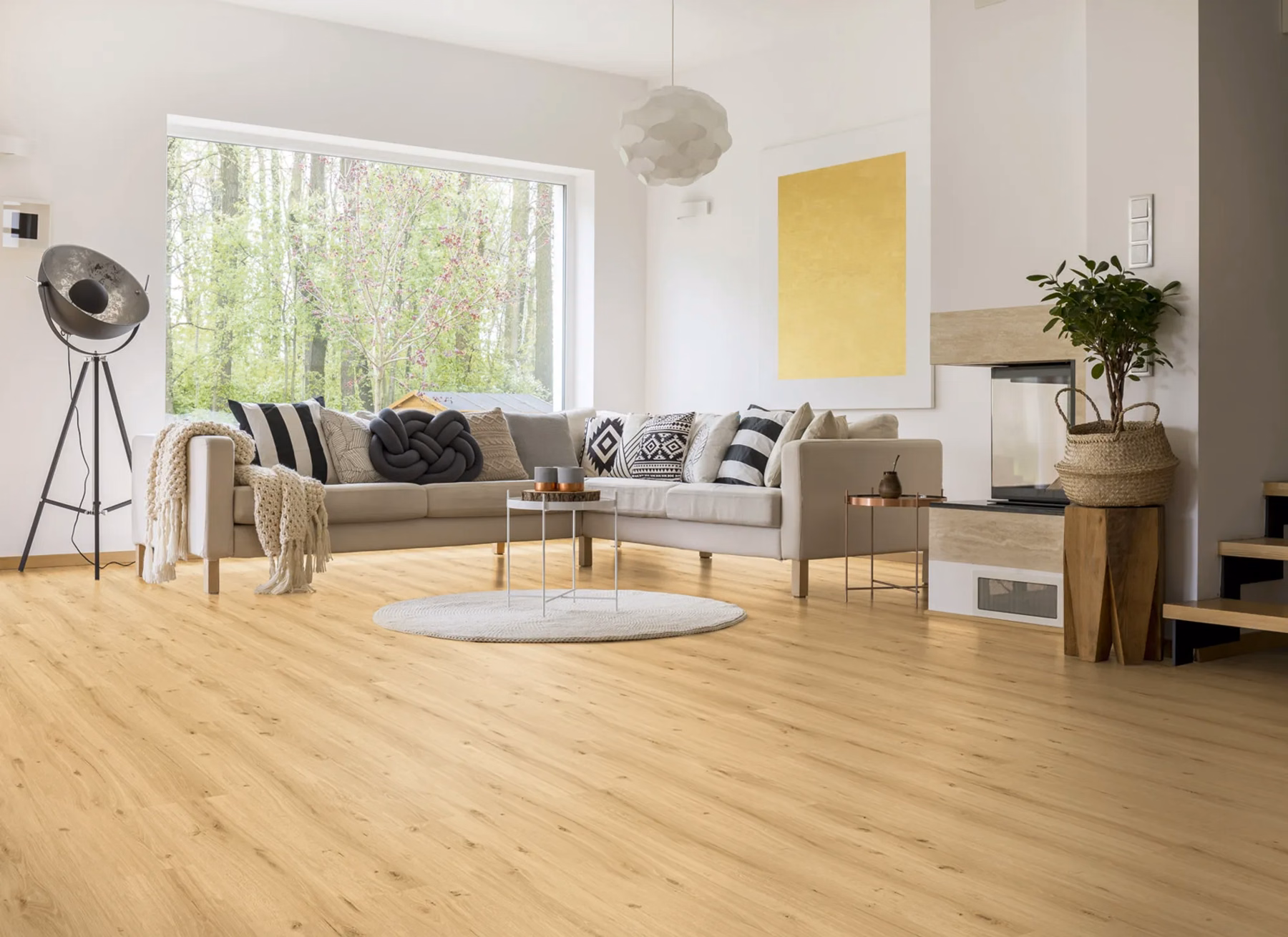JOKA Design 255 Hydro Wood | 2501 Royal Oak light – Originalabbildung des Herstellers