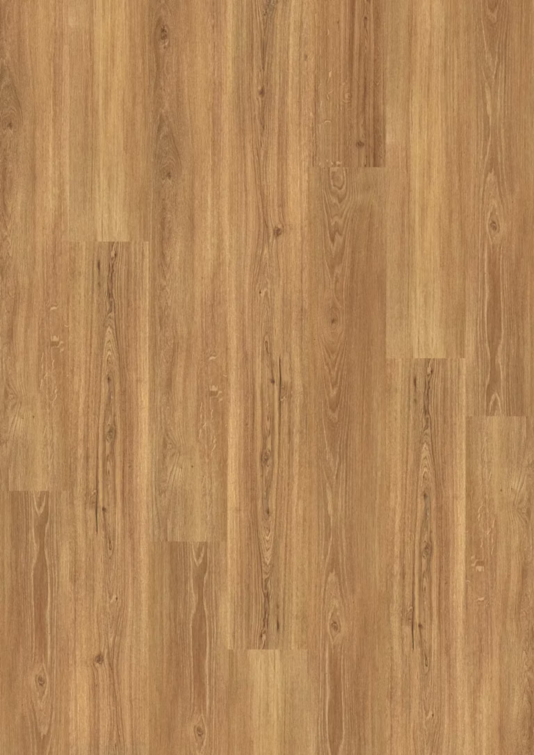 JOKA Design 555 Click | 208 Incredible Classic Oak EIR – Herstellerabbildung