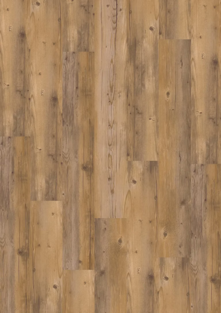 JOKA Design 555 Click | 407 Blond Pine EIR – Herstellerabbildung