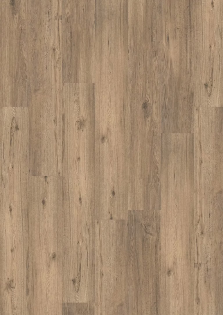 JOKA Design 555 Click | 509 Spring Oak EIR – Herstellerabbildung