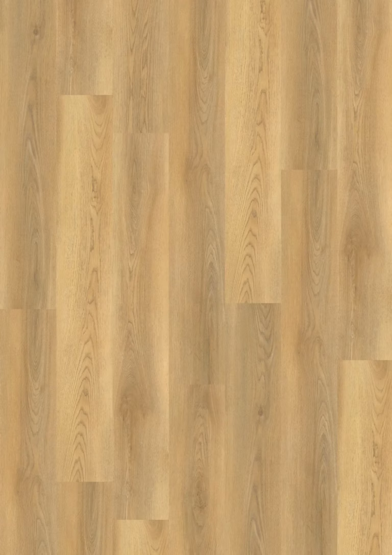 JOKA Design 555 Click | 540 Timeless Oak EIR – Herstellerabbildung