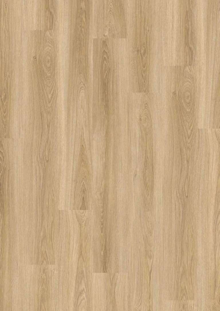 JOKA Design 555 Evolut Click | 902 Frosty Oak – Herstellerabbildung