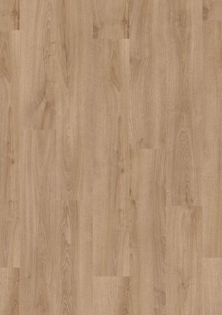 JOKA Design 555 Evolut Click | 911 Forest Oak EIR – Herstellerabbildung
