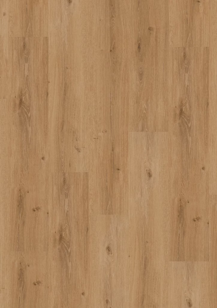 Homeline 30 Click | 3120 Steineiche – Originalabbildung des Herstellers
