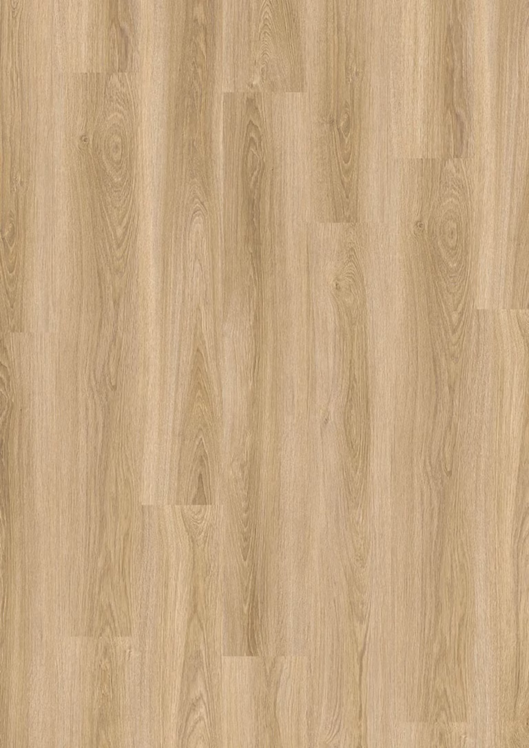 JOKA Design 555 Evolut | 5902 Frosty Oak – Herstellerabbildung