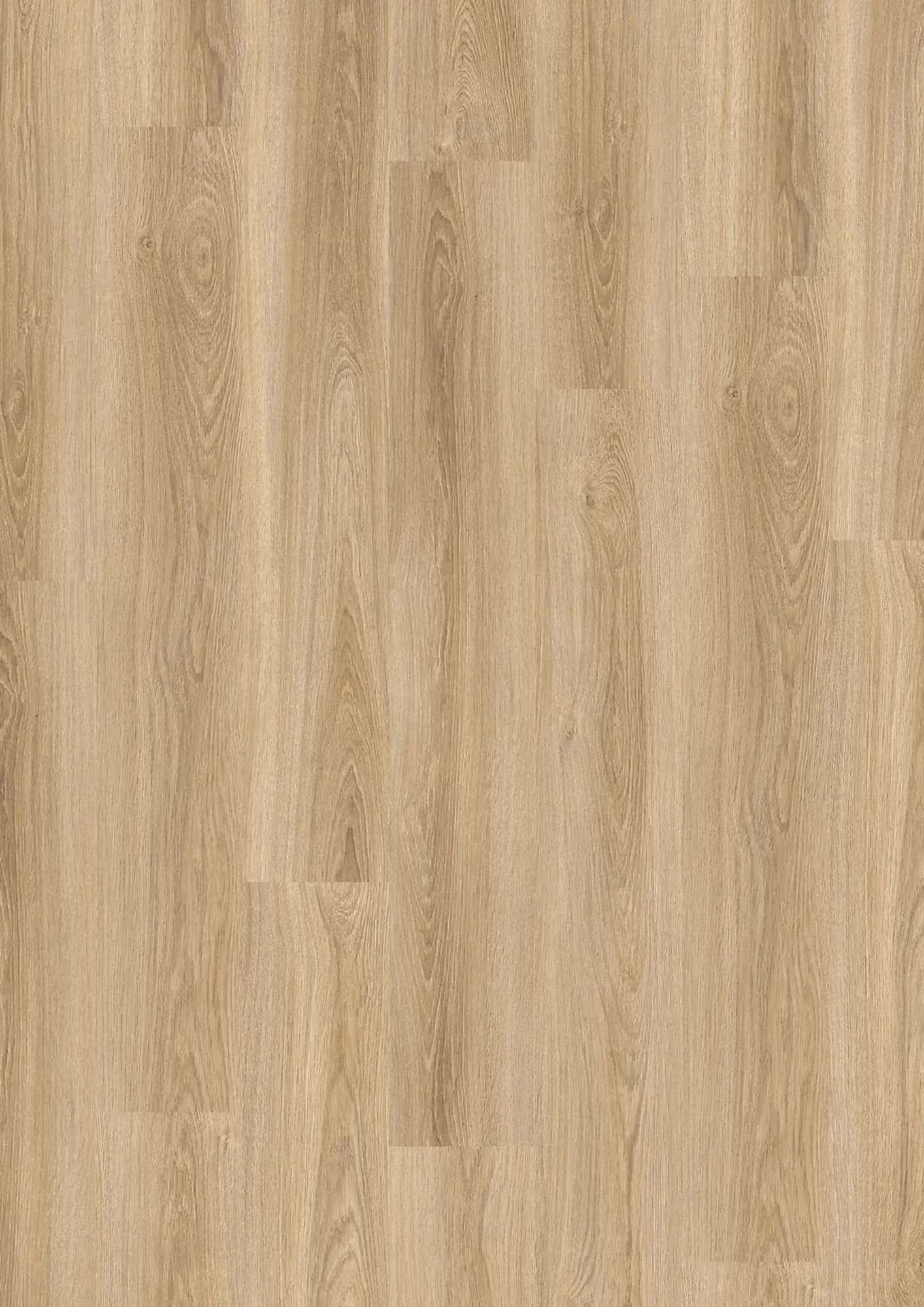 JOKA Design 555 Evolut Frosty Oak – Herstellerabbildung