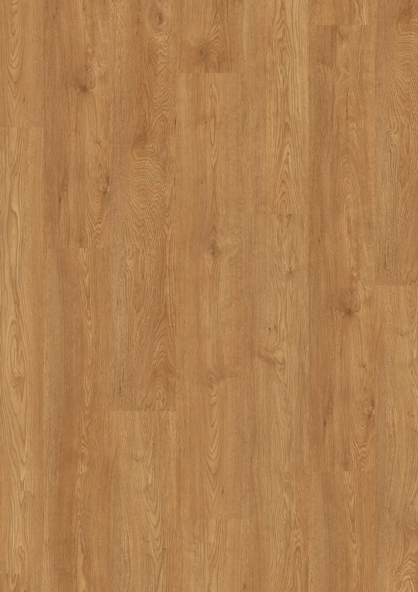 JOKA Design 555 Evolut Palm Oak EIR – Herstellerabbildung