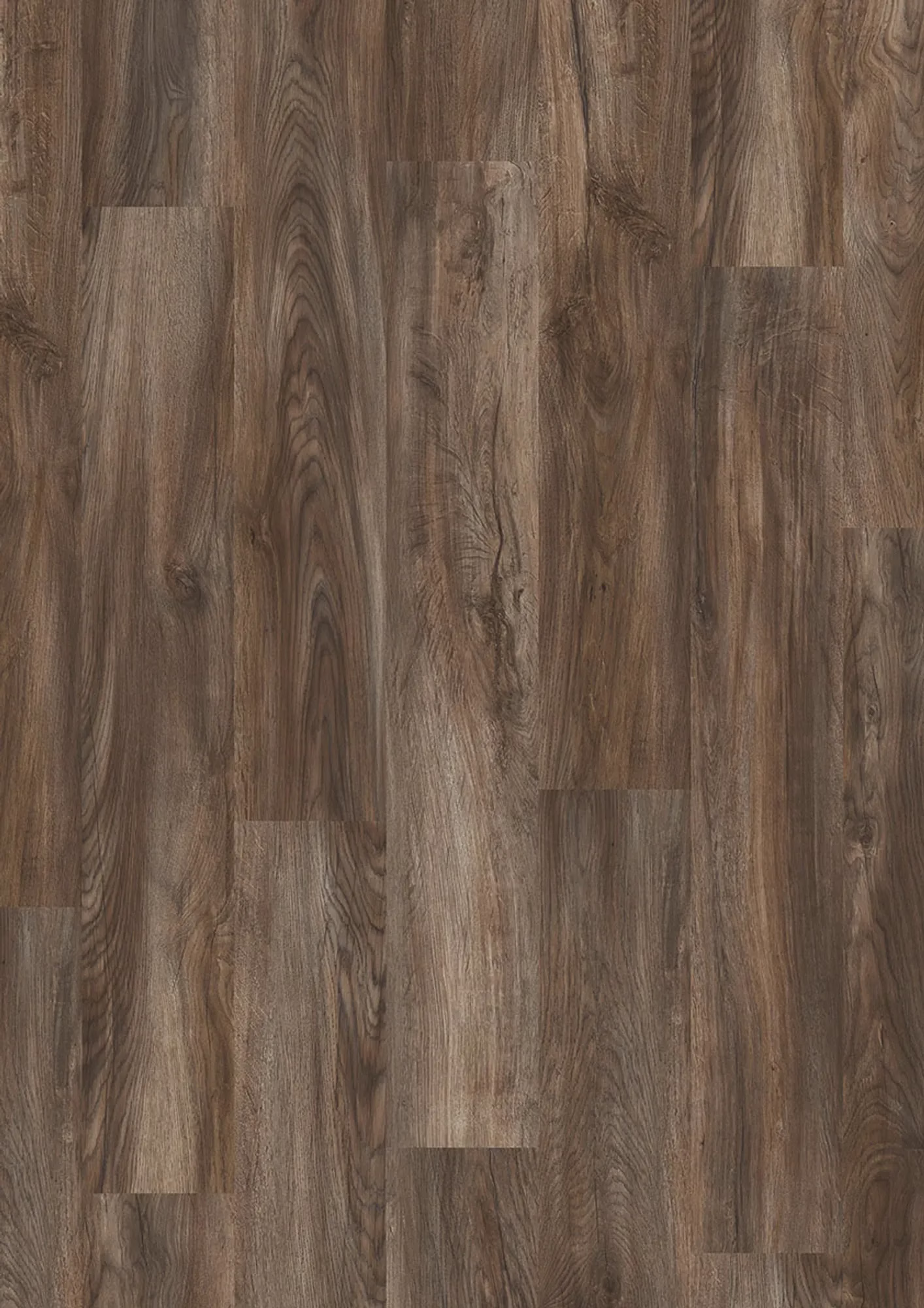 JOKA Design 555 Evolut Mud Oak EIR – Original-Flächenbild