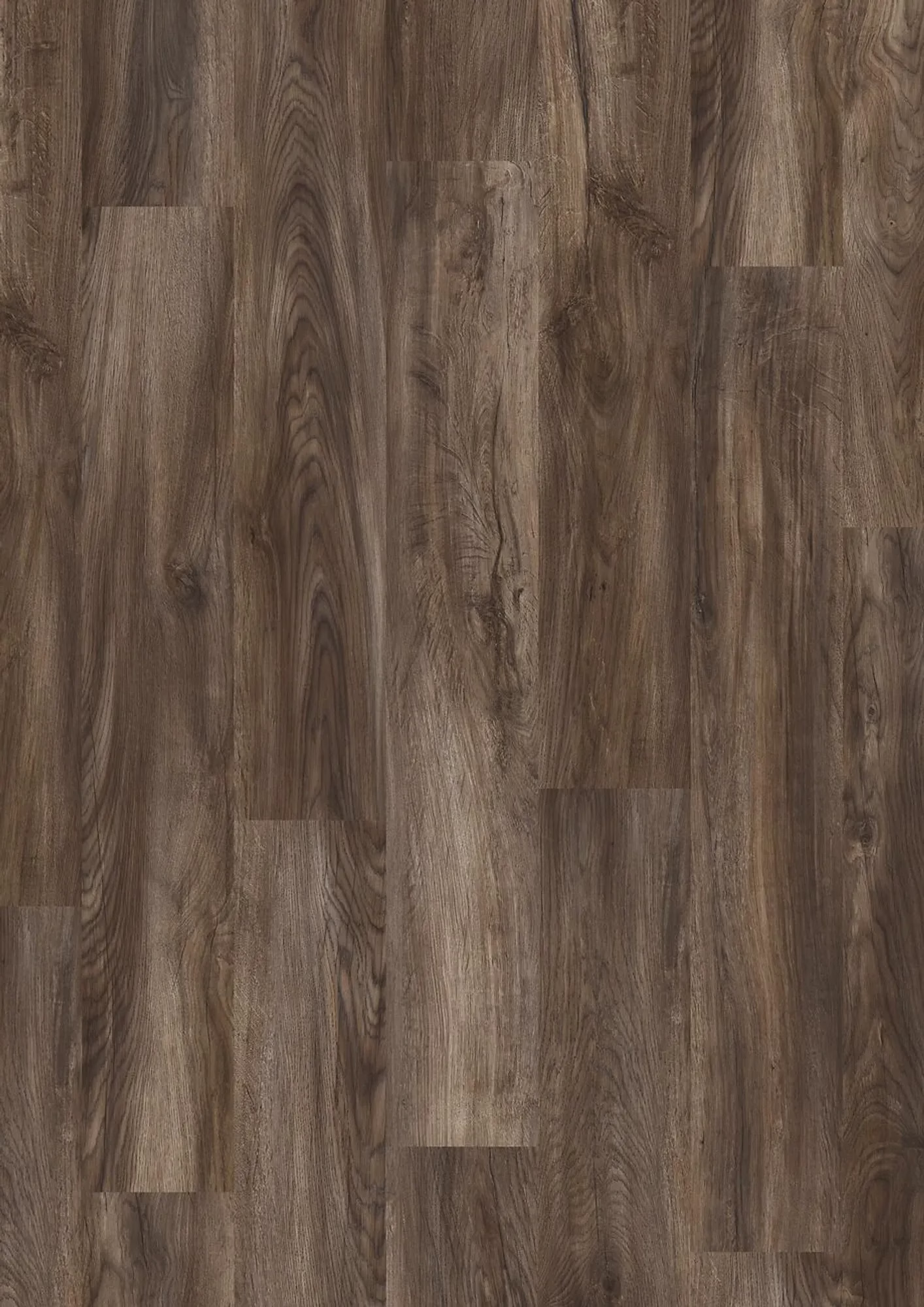 JOKA Design 555 Evolut Mud Oak EIR – Herstellerabbildung
