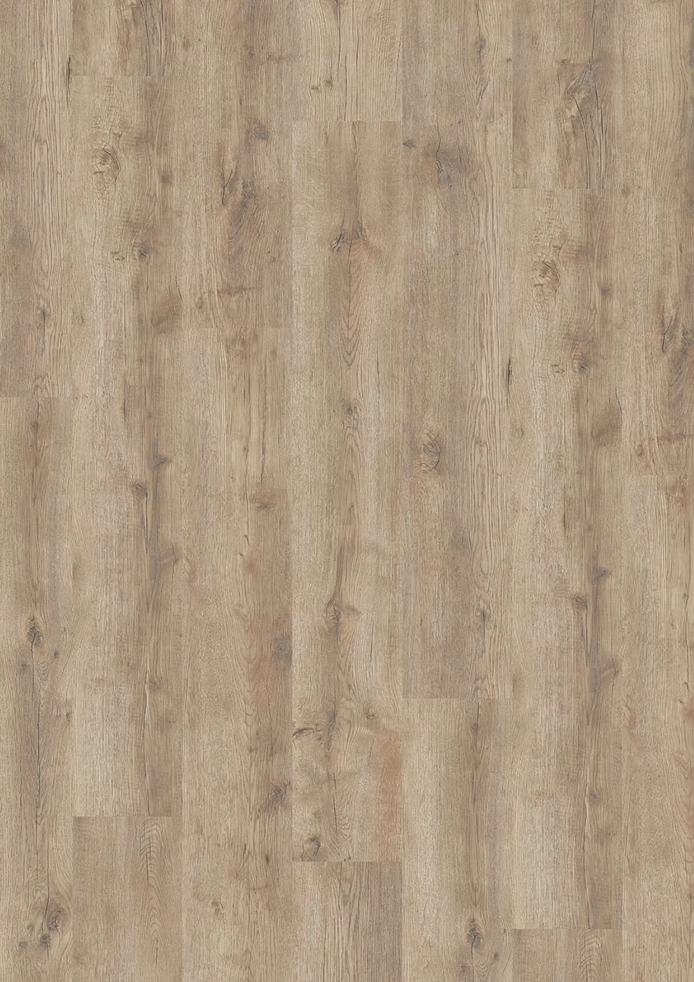 JOKA Design 555 Evolut Taupe Oak EIR – Original-Flächenbild