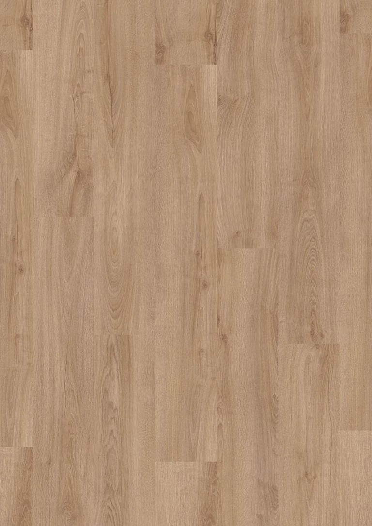 JOKA Design 555 Evolut | 5911 Forest Oak EIR – Herstellerabbildung