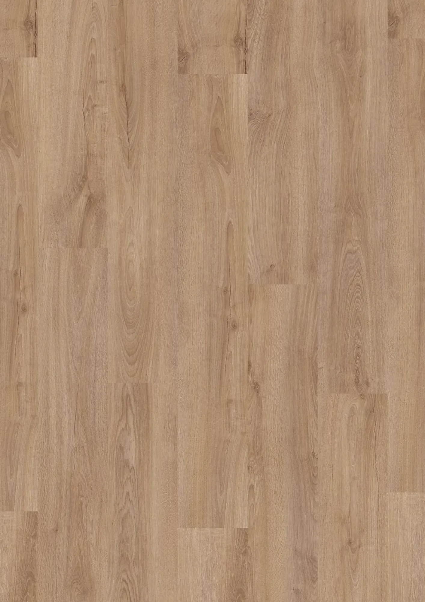 JOKA Design 555 Evolut Forest Oak EIR – Herstellerabbildung