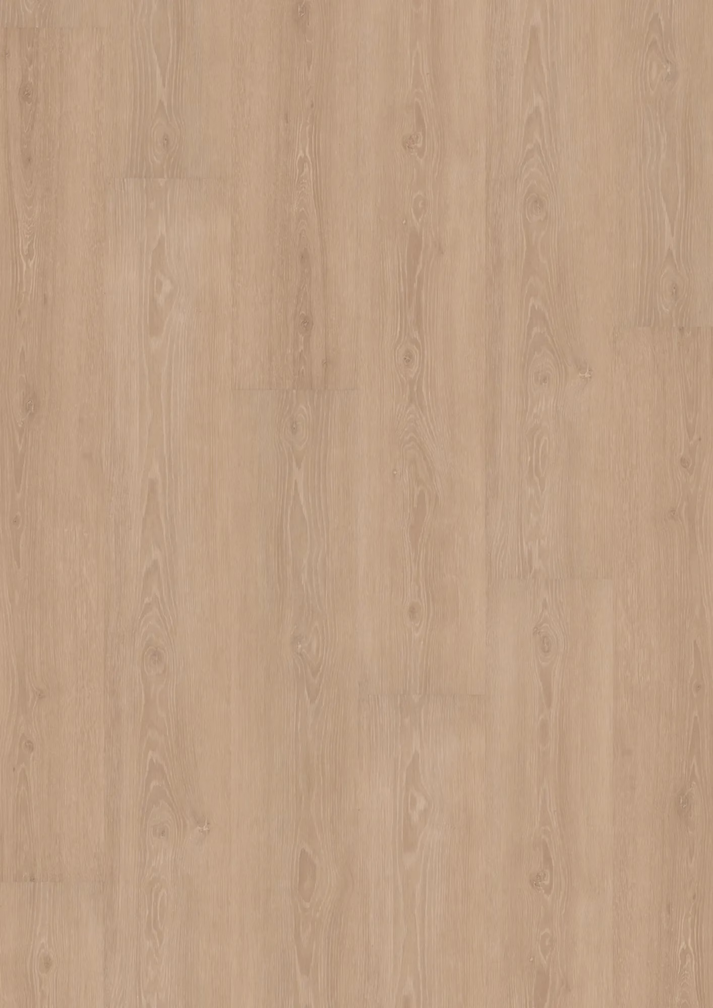 JOKA Design 555 Perfect Beige Oak – Original-Flächenbild