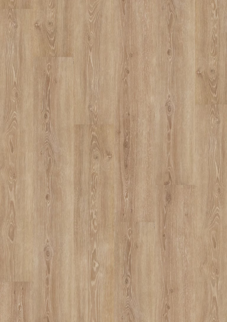 JOKA Design 555 | 5308 Perfect Ivory Oak – Herstellerabbildung