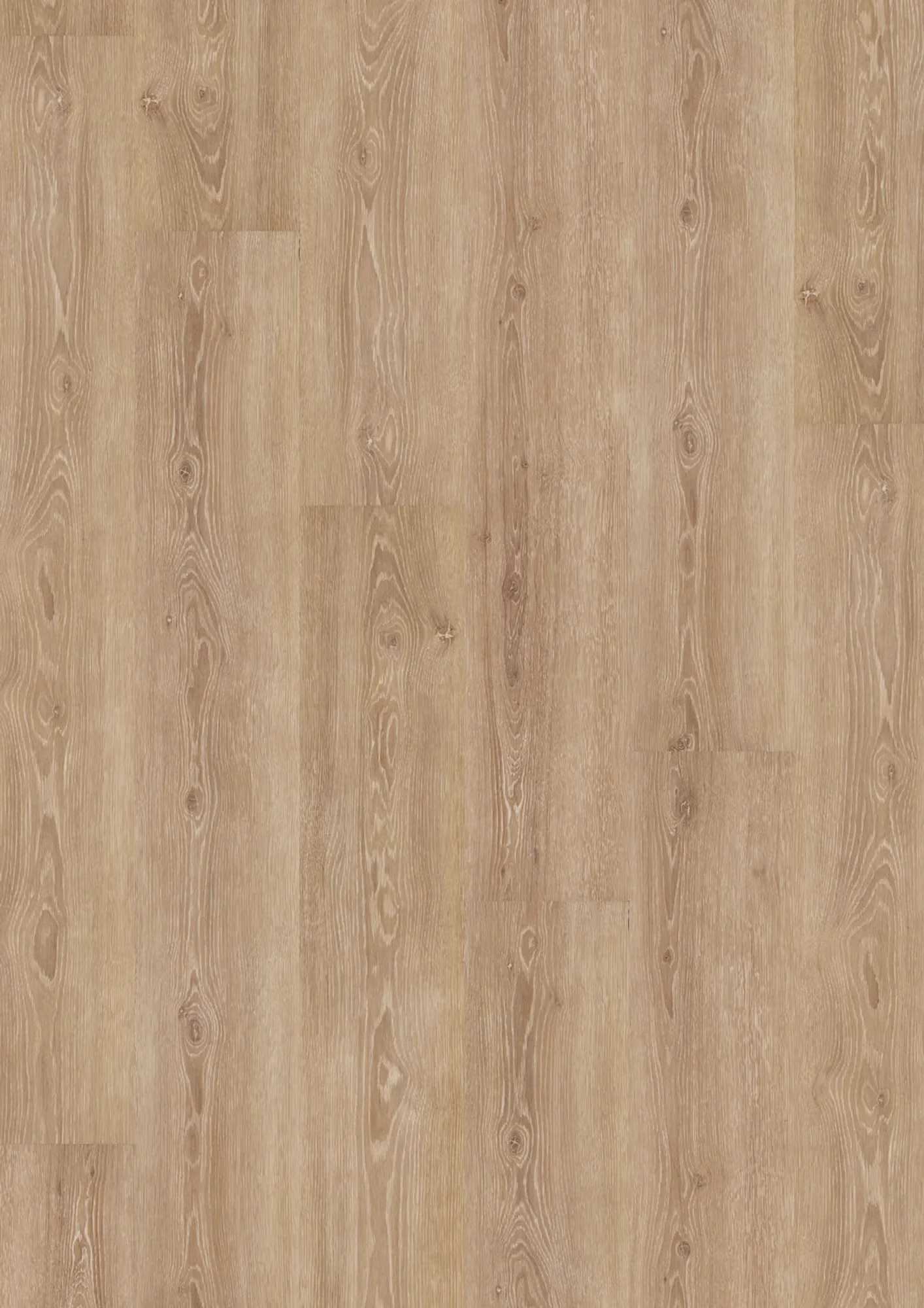 JOKA Design 555 Perfect Ivory Oak – Original-Flächenbild