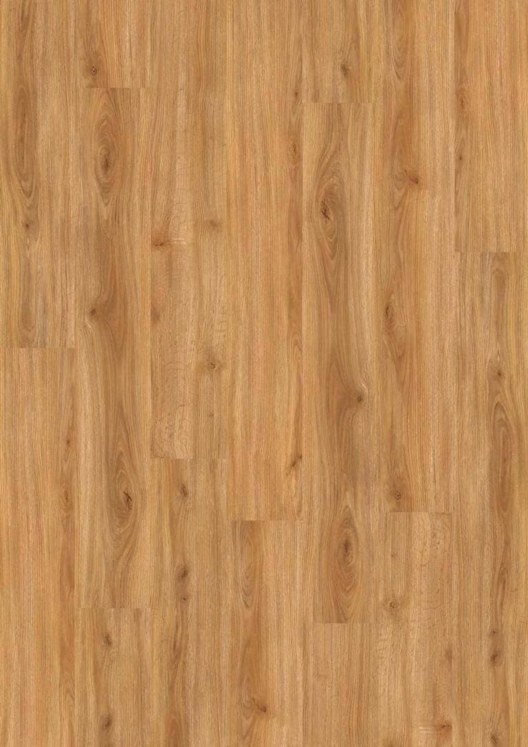 JOKA Design 555 | 5412 Cozy Oak EIR – Herstellerabbildung