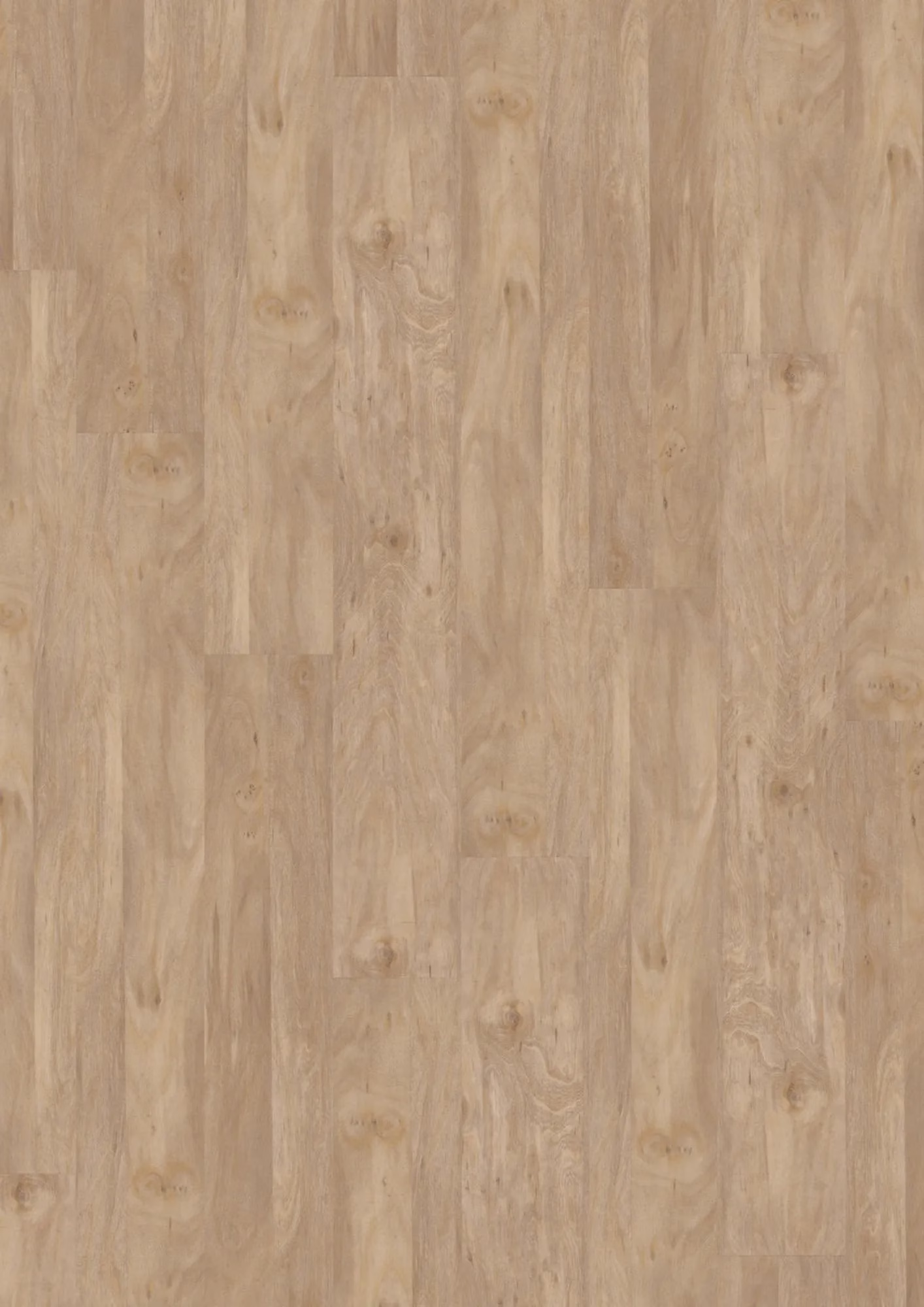JOKA Design 555 Bleached Elm – Original-Flächenbild