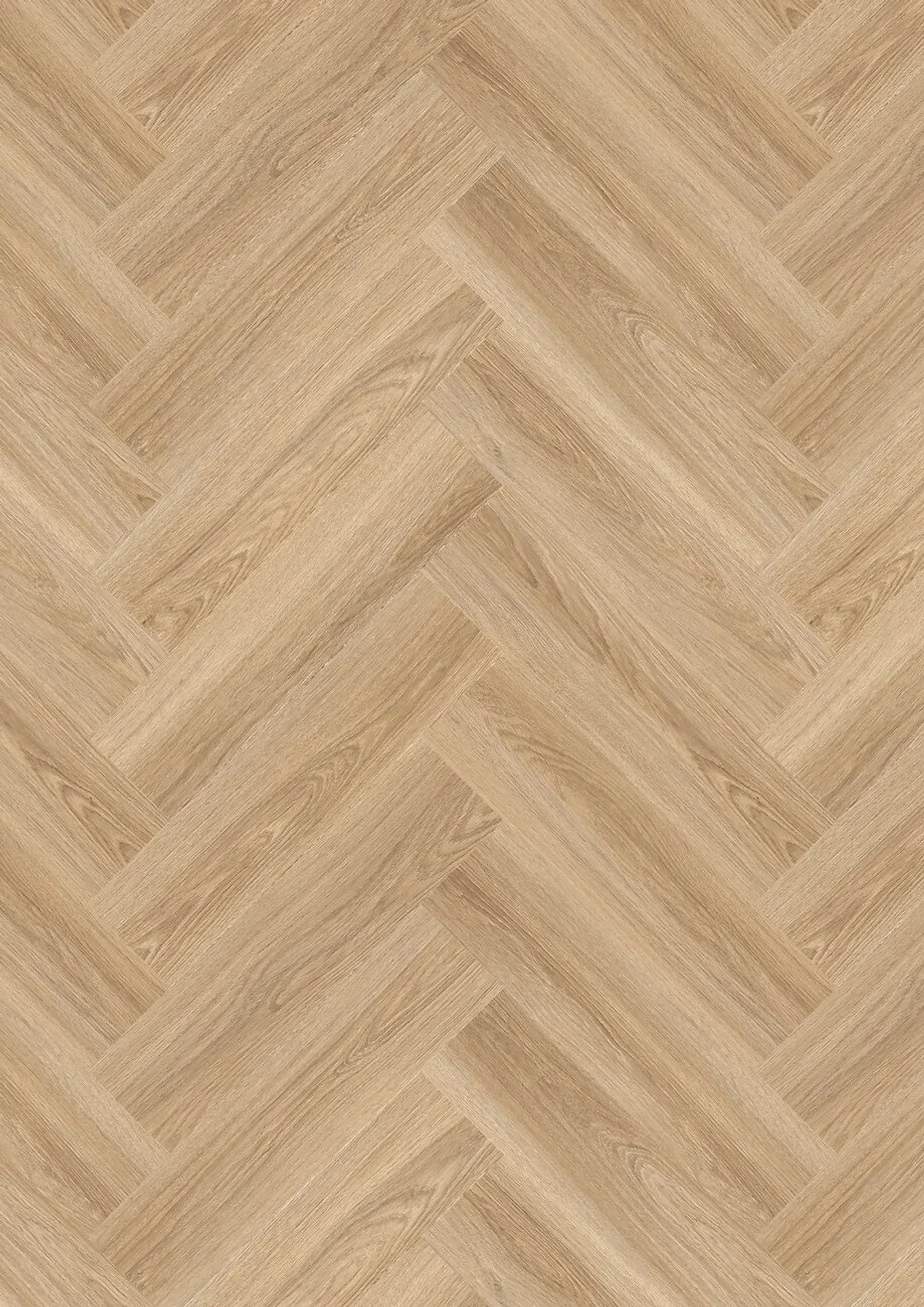JOKA Design 555 Evolut Fischgrät Frosty Oak – Herstellerabbildung