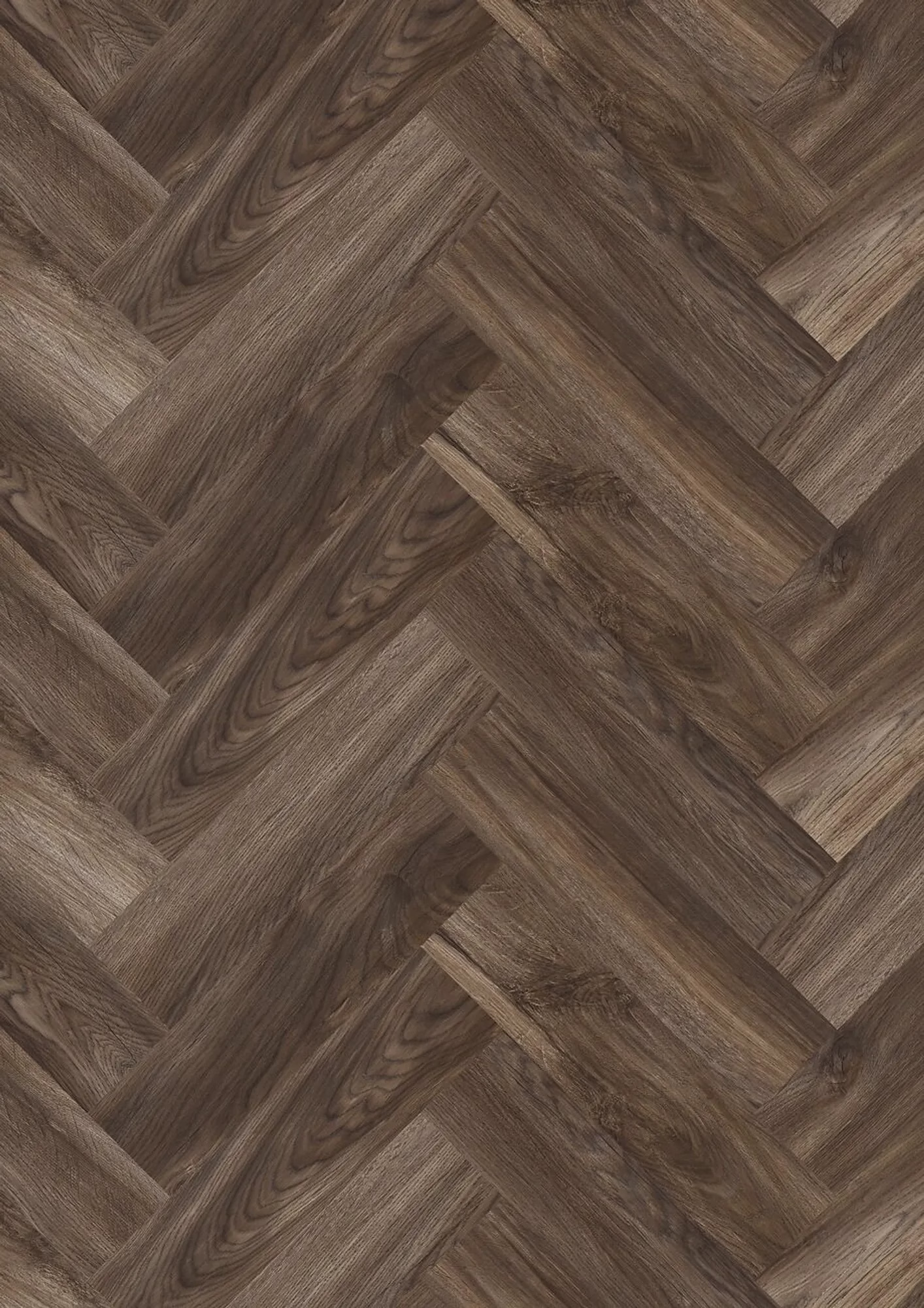 JOKA Design 555 Evolut Fischgrät Mud Oak EIR – Herstellerabbildung