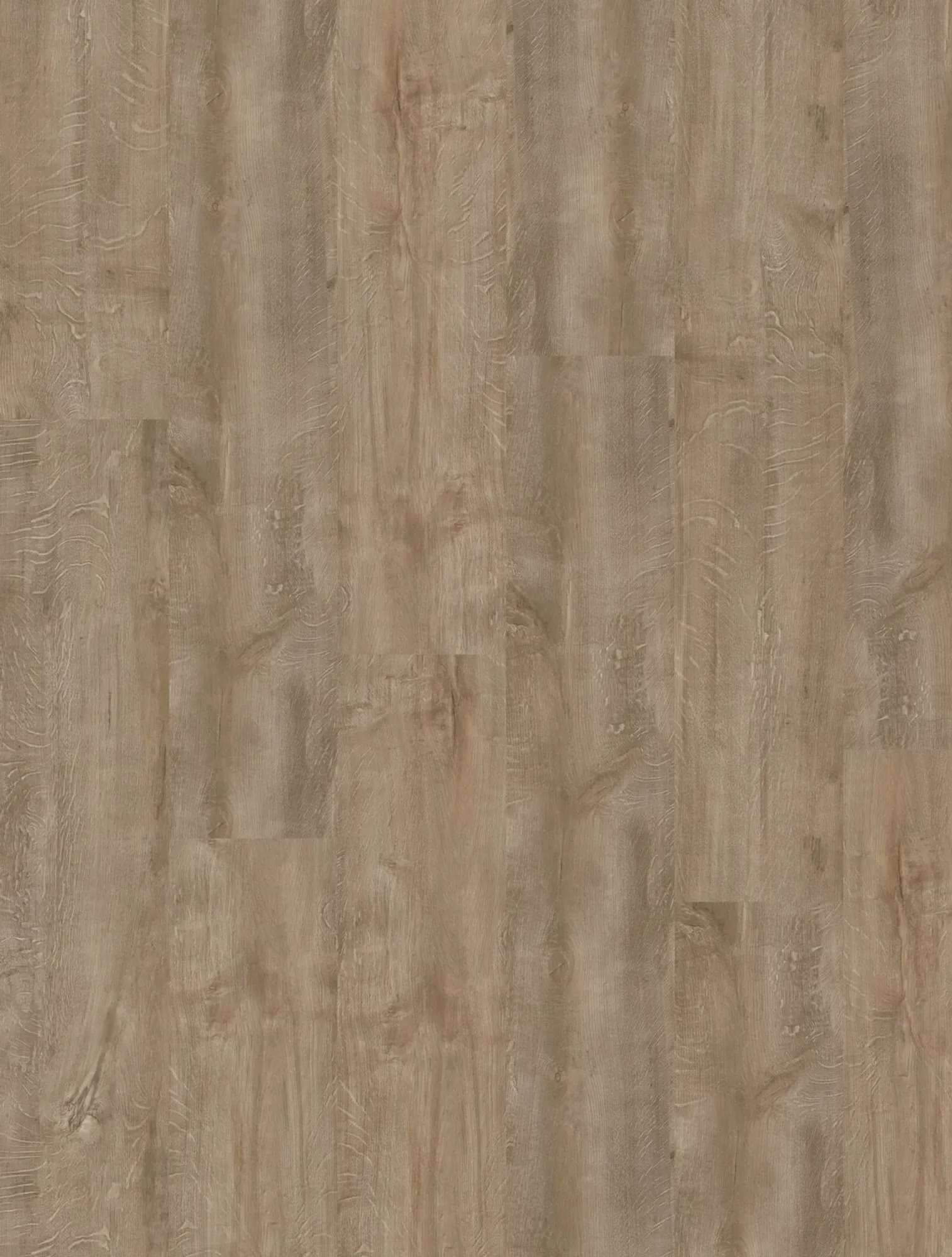 Homeline 55 55-01 Eiche Natur 22,86x121,92 – Original-Flächenbild