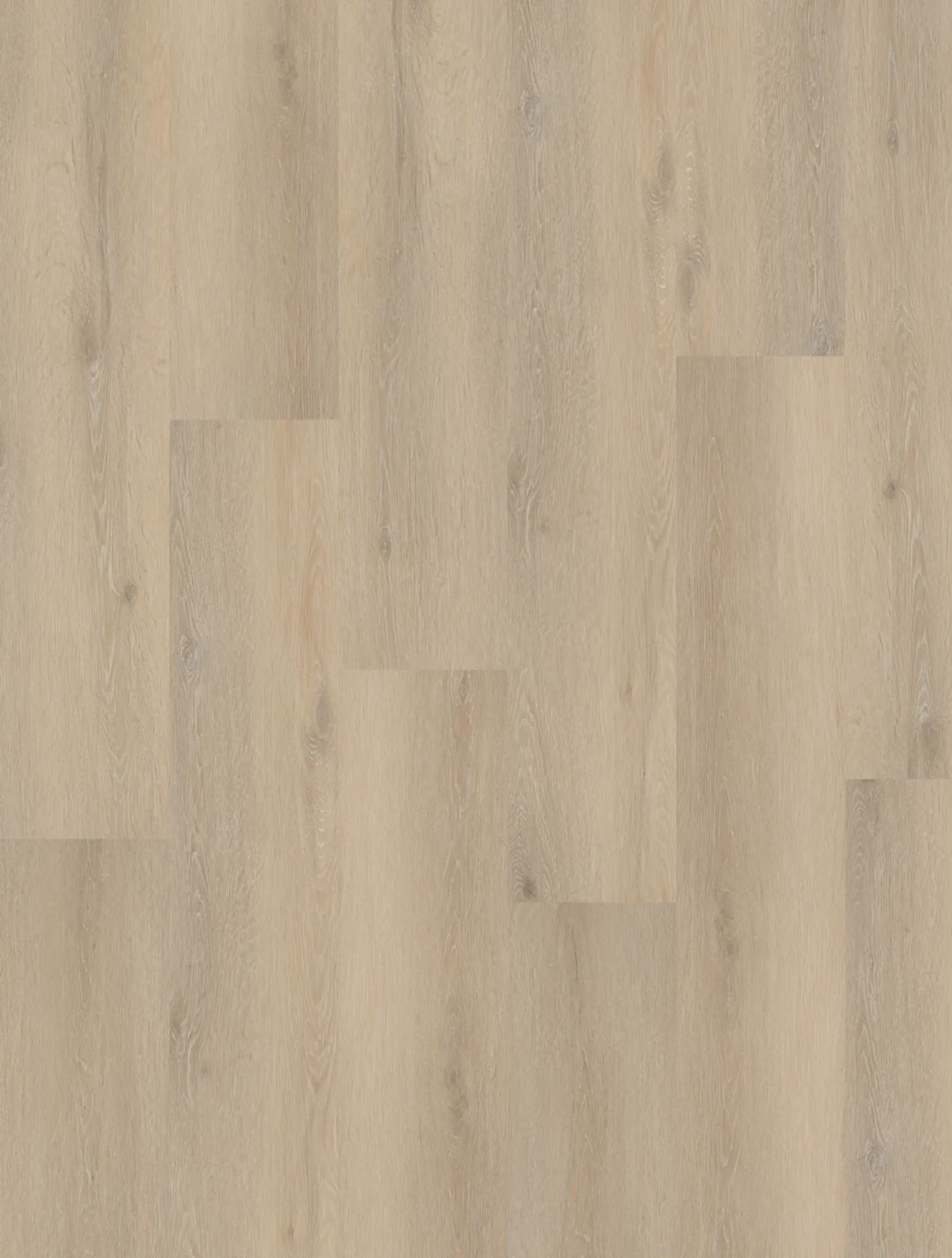 Homeline 55 55-14 Eiche Beige 22,86x121,92 – Original-Flächenbild