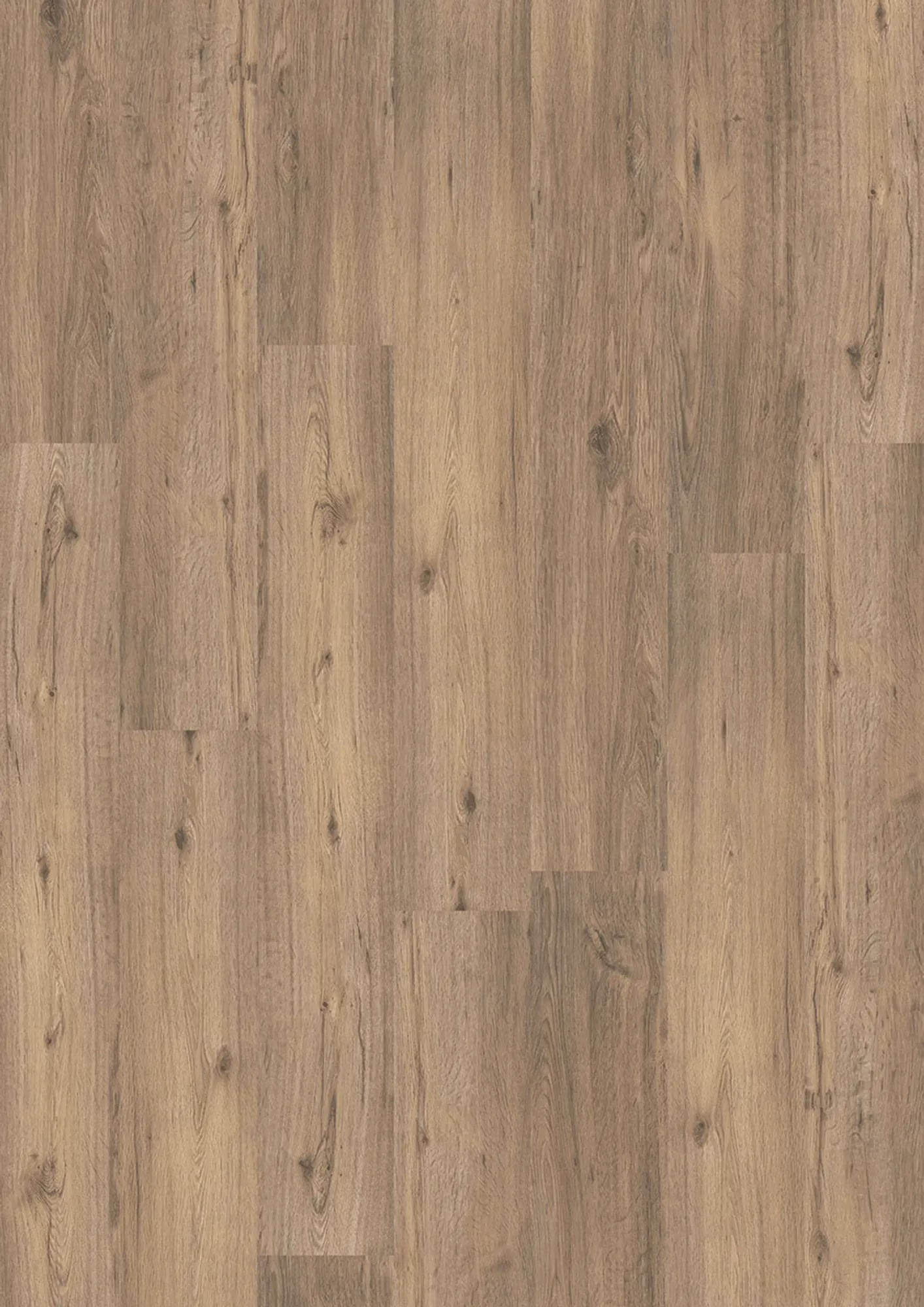 Homeline 55 Silent 5003 Spring Oak 18,42x121,92 – Original-Flächenbild