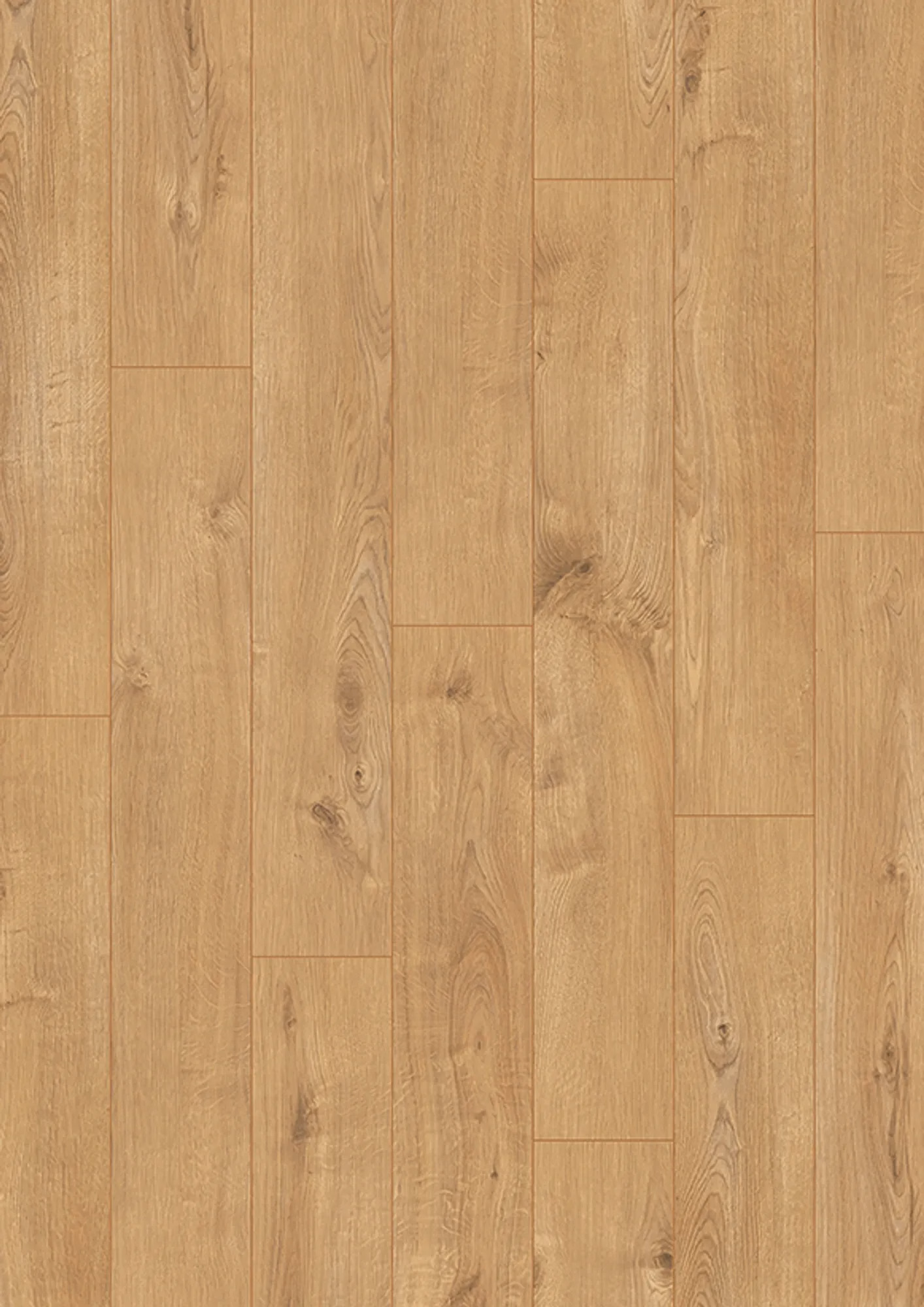 Homeline Classic 32 NP 3631 Oak timeless V4 – Flächenbild (Herstellerabbildung)