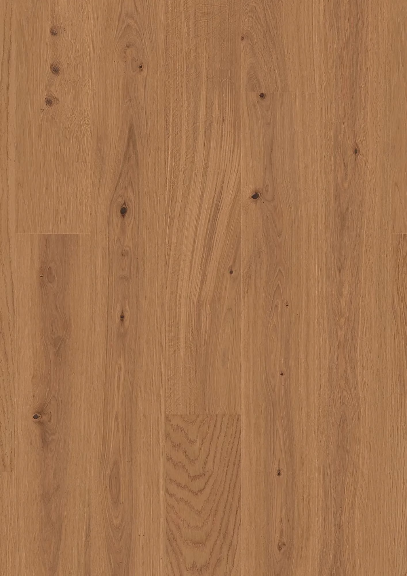 JOKA Kjare 512 LD | KE309 Oak amber gebürstet NATURE VP – Oberflächenmuster (Herstellerabbildung)