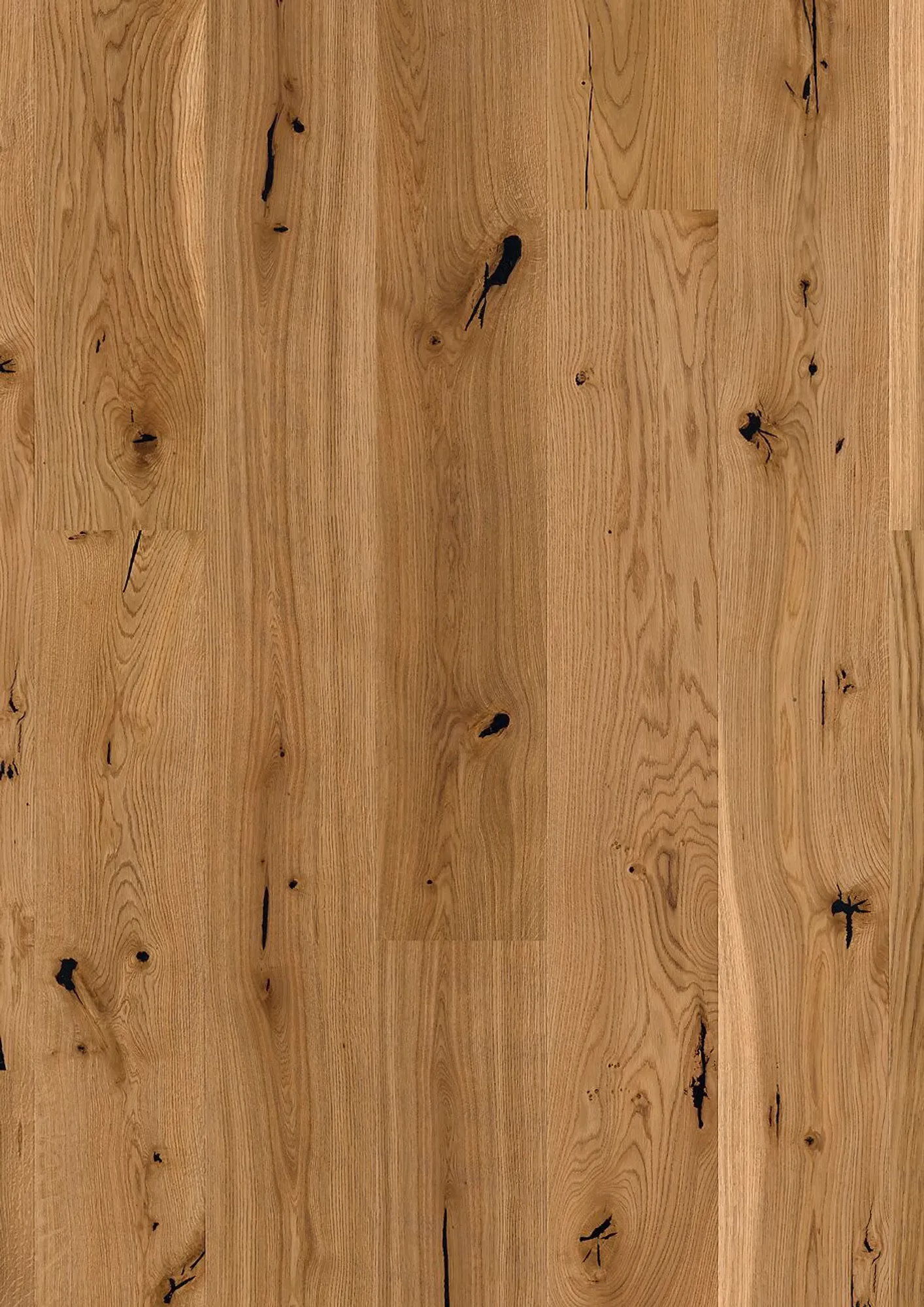 JOKA Calgary 527 LD 209 | E8463 Eiche pure COUNTRY ÖL | 2.200 × 209 × 13,2 mm – Herstelleransicht (Herstellerabbildung)