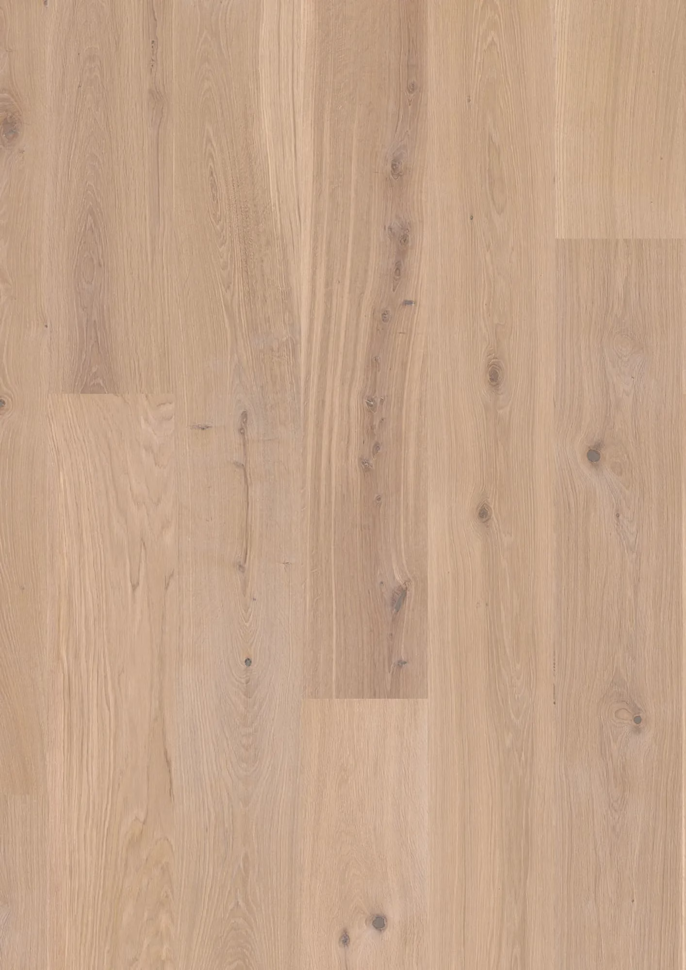 JOKA Calgary 535 LD | E1114 Eiche creme NATURE ÖL – Oberflächenmuster (Herstellerabbildung)