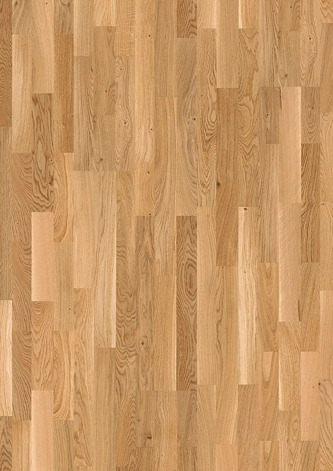 JOKA Kingston 527 SB | E6603 Eiche VILLA ÖL | 2.200 × 215 × 13,2 mm – Herstelleransicht (Herstellerabbildung)