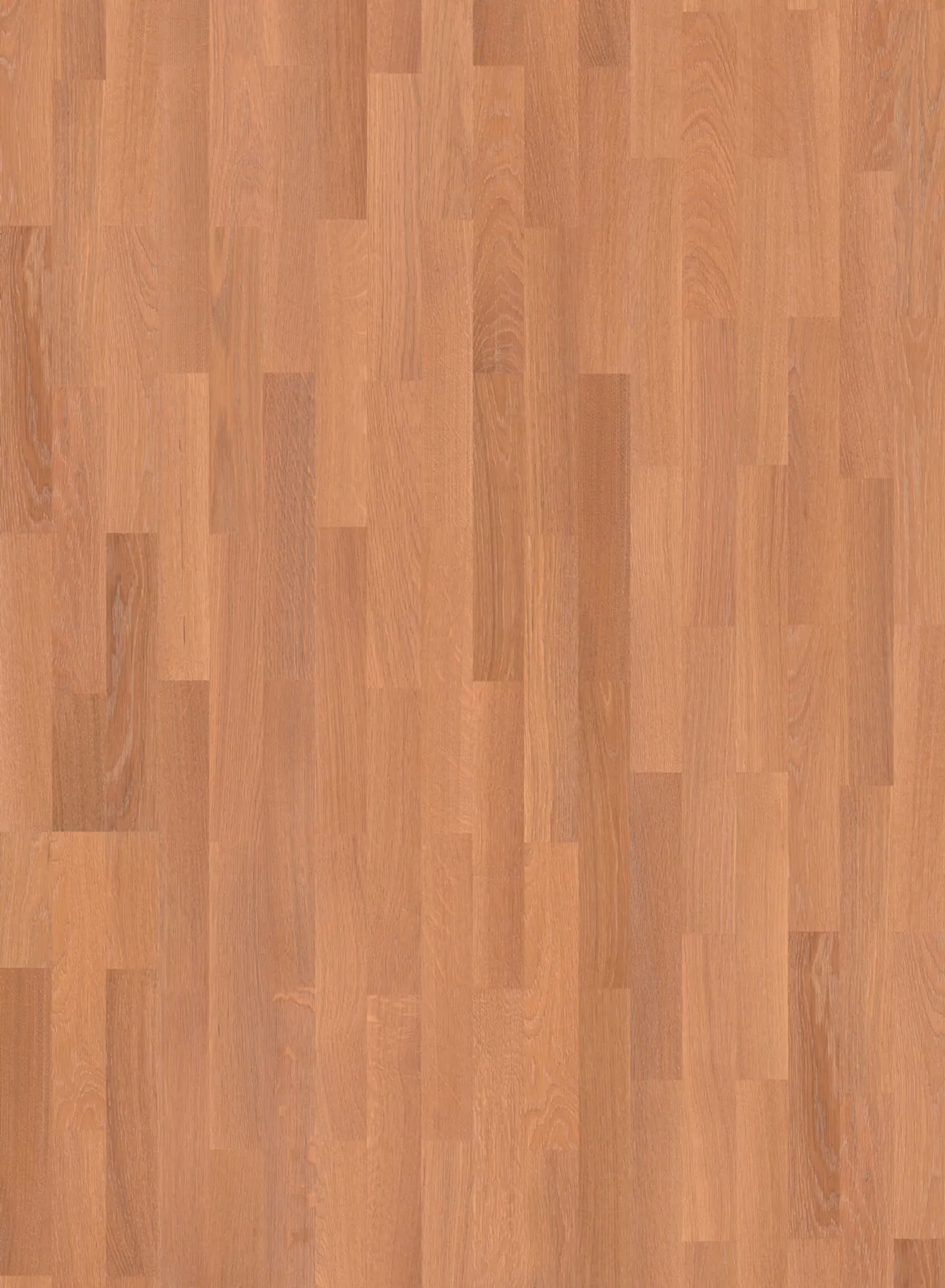 JOKA Kingston 435 SB – Herstellerabbildung