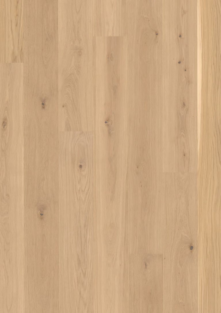 JOKA Calgary 527 LD 209 | E3404 Eiche nova gebürstet NATURE VP | 2.200 × 209 × 13,2 mm – Herstellerabbildung