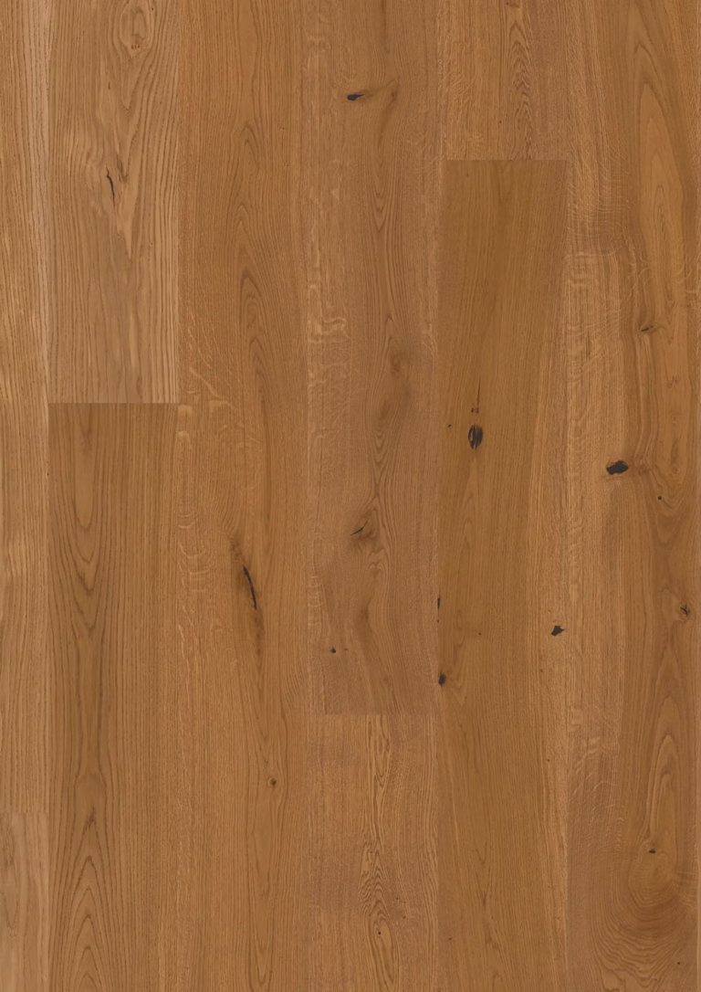 JOKA Calgary 527 LD 209 | E5421 Eiche caramell VILLA ÖL | 2.200 × 209 × 13,2 mm – Herstellerabbildung
