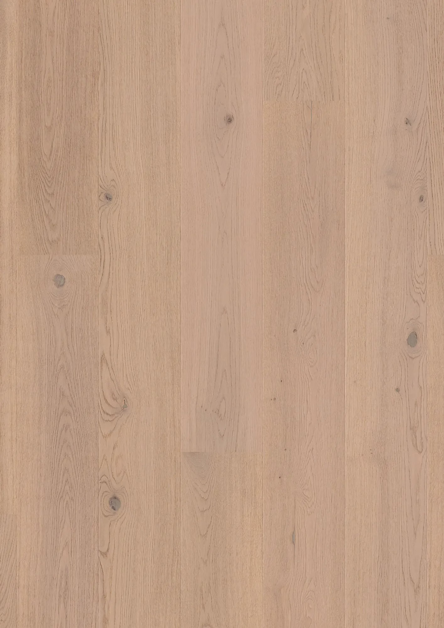 JOKA Calgary 527 LD 209 | E3407 Eiche topas g. NATURE VP – Oberflächenmuster (Herstellerabbildung)