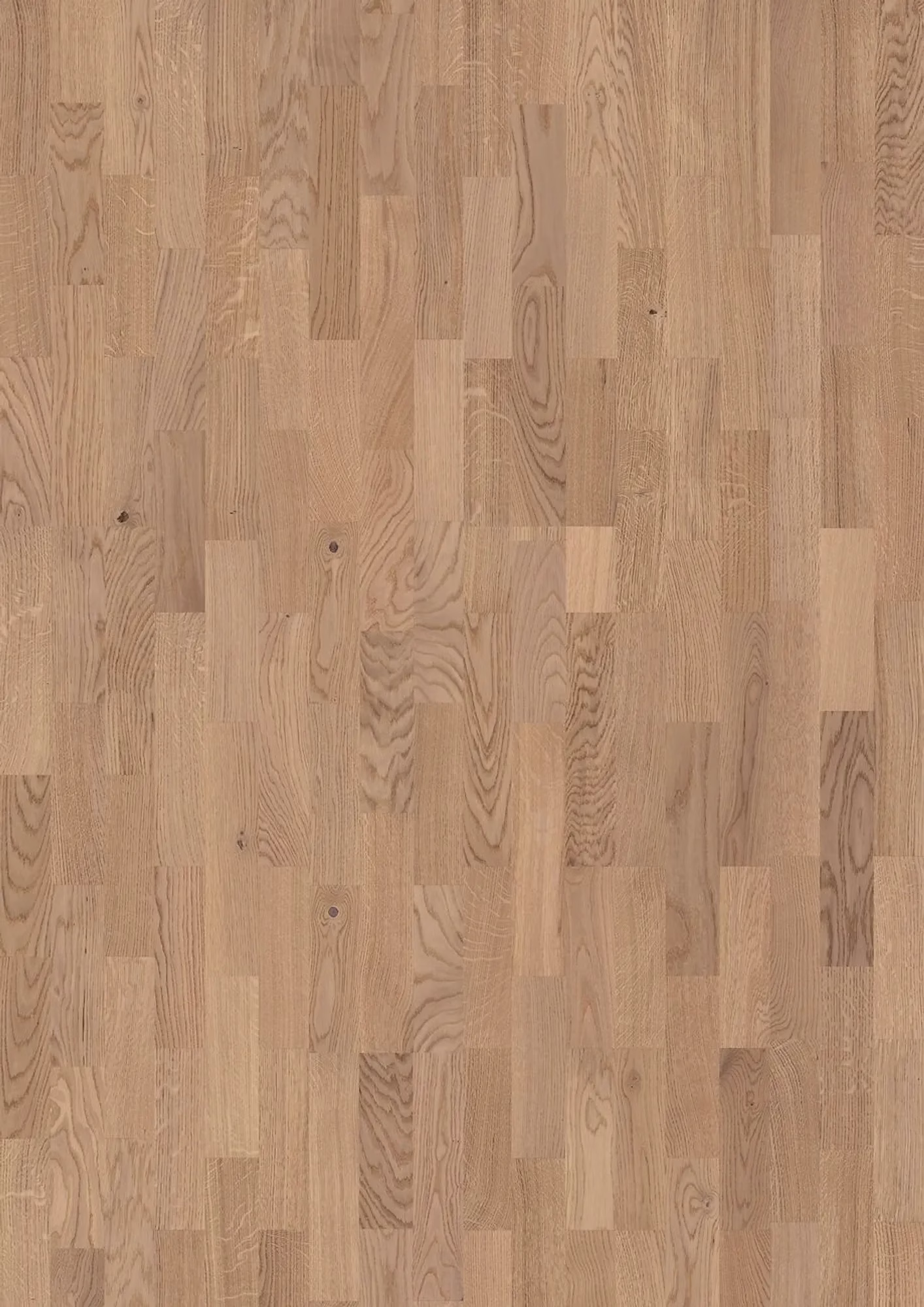 JOKA Kingston 535 SB | E1822 Eiche vanilla NATURE VM – Herstelleransicht (Herstellerabbildung)