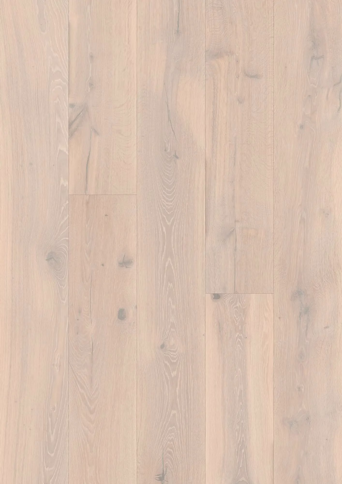 JOKA Calgary 545 LDX Barrique | E7492 Eiche polar Barrique VILLA ÖL – Herstelleransicht (Herstellerabbildung)