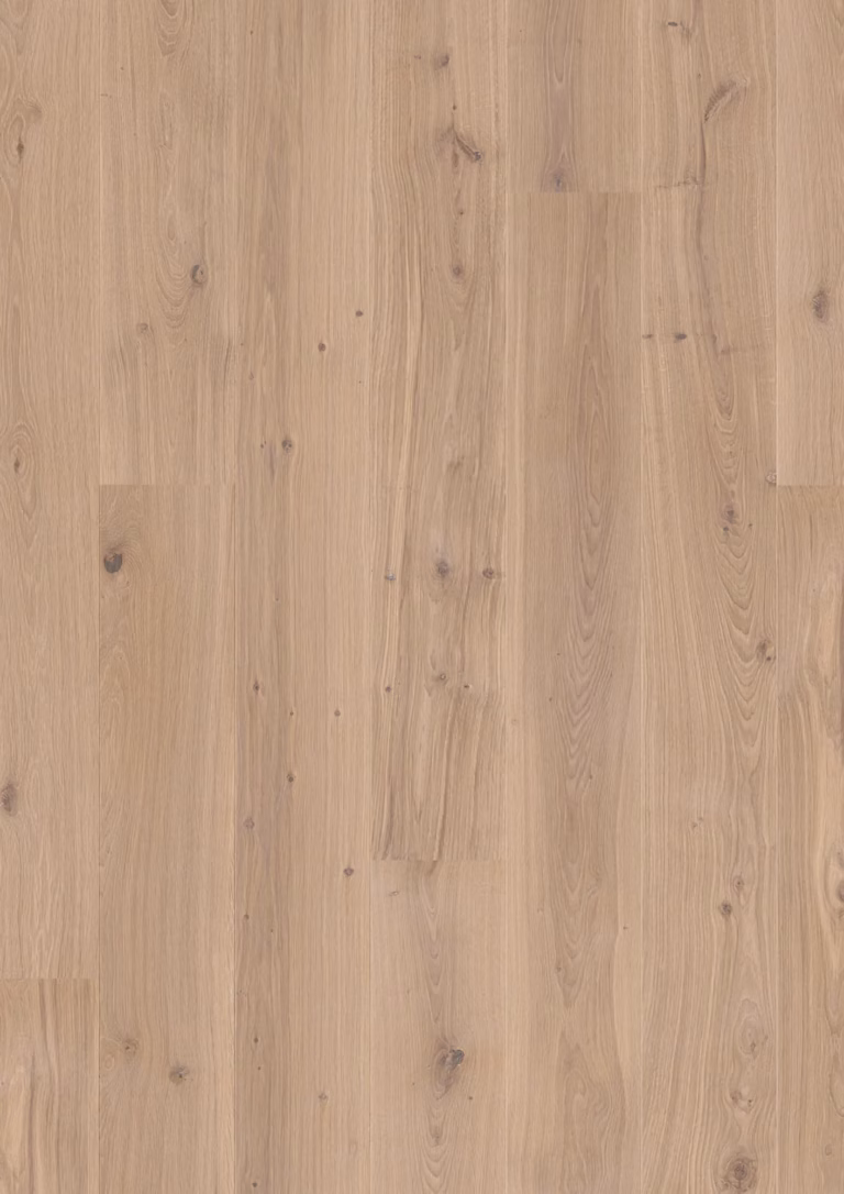 JOKA Calgary 527 LD 181 | E3614 Eiche creme g. NATURE ÖL | 2.200 × 181 × 13,2 mm – Herstellerabbildung
