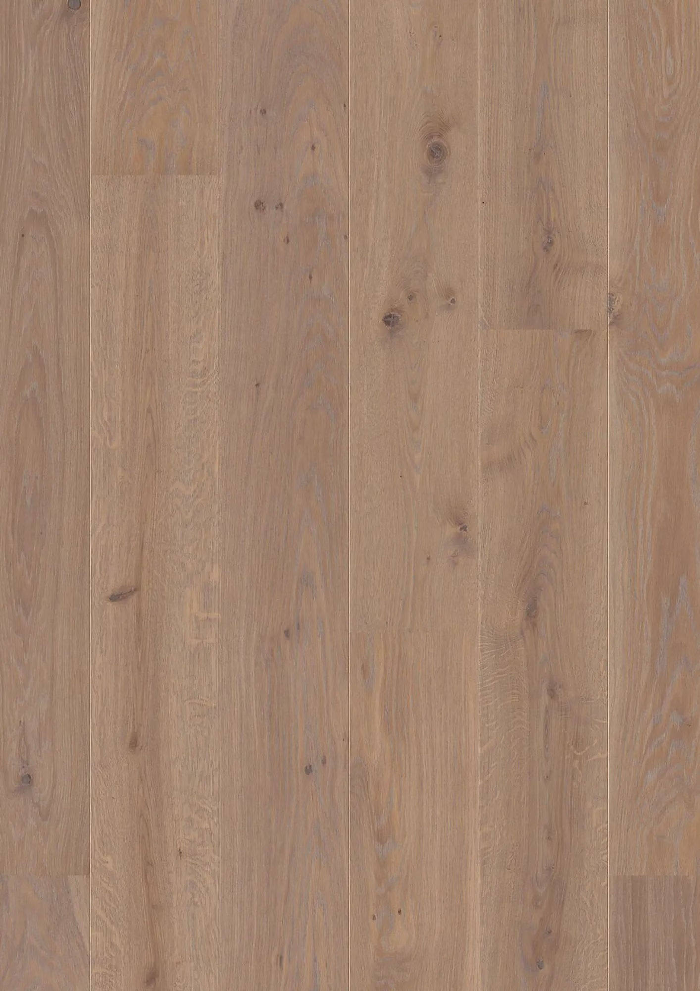 JOKA Calgary 527 LD 209 | E3406 Eiche stone g. NATURE VP – Herstelleransicht (Herstellerabbildung)