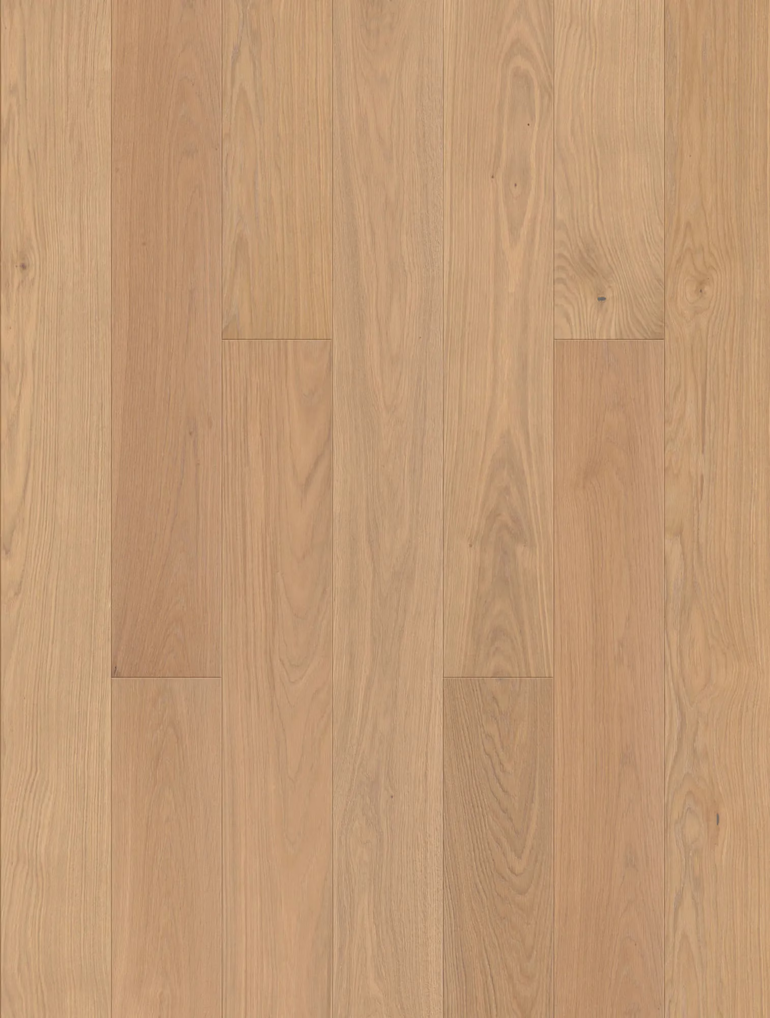 JOKA Calgary 435 LD | E0214 Eiche creme ELEGANCE ÖL – Oberflächenmuster (Herstellerabbildung)