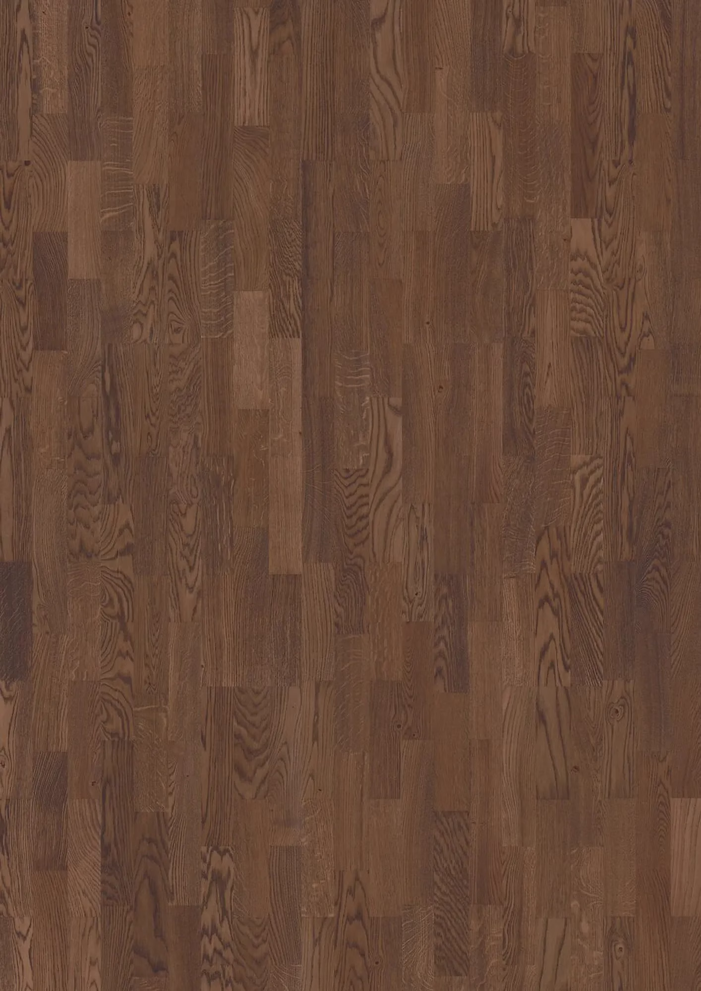 JOKA Kingston 535 SB | E1868 Eiche g. choco NATURE ÖL – Herstelleransicht (Herstellerabbildung)