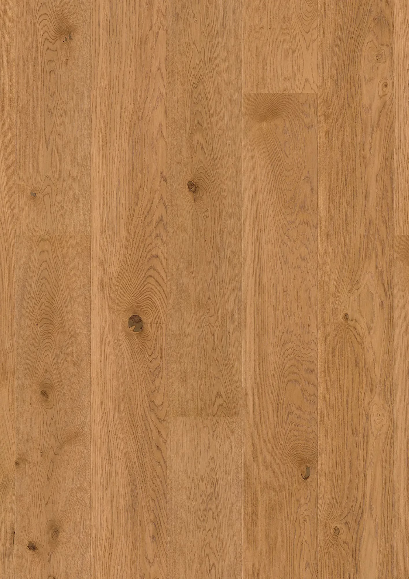JOKA Calgary 527 LD 209 | E3409 Eiche amber g. NATURE VP – Oberflächenmuster (Herstellerabbildung)