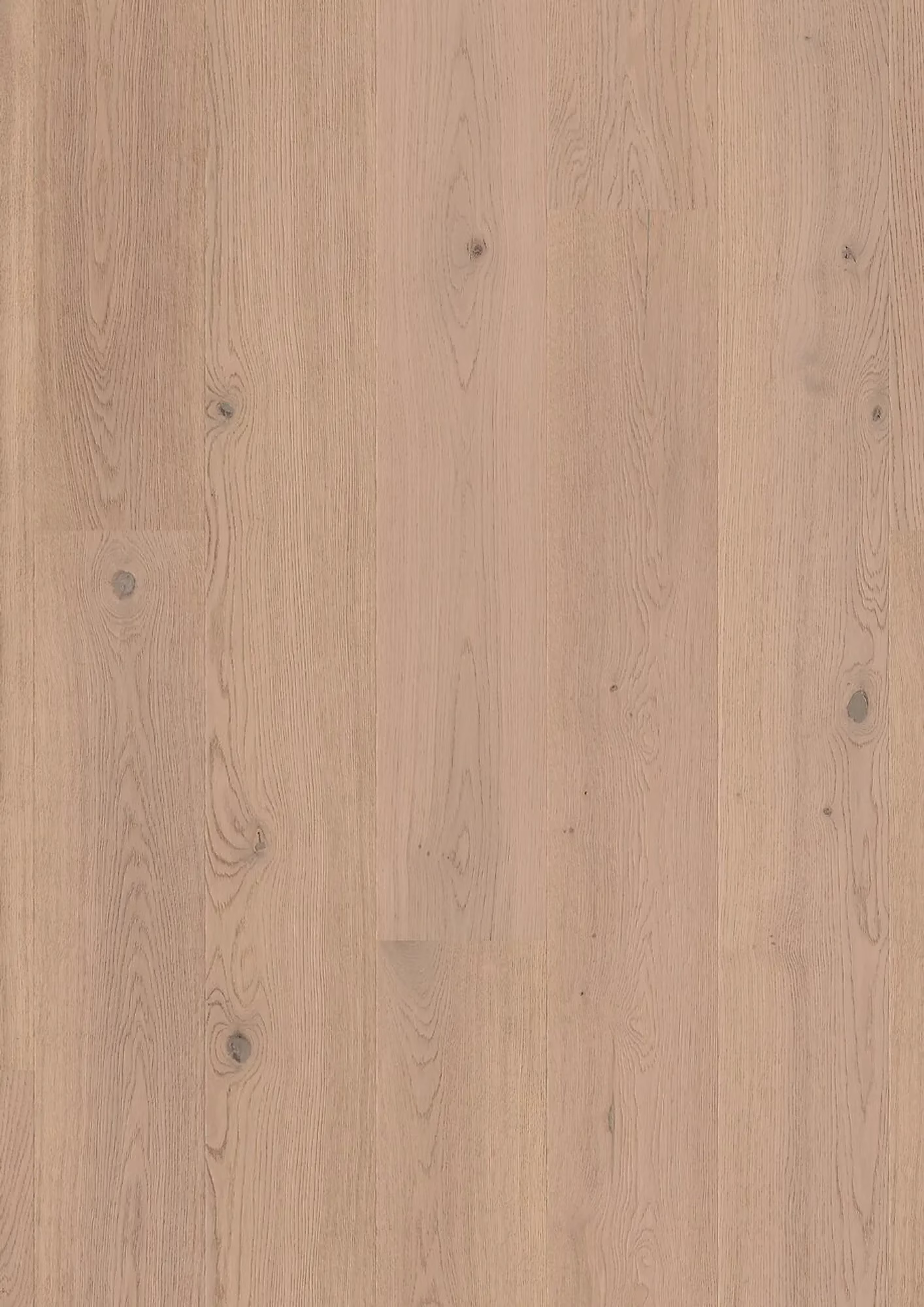JOKA Calgary 527 LD 209 | E3407 Eiche topas g. NATURE VP – Herstelleransicht (Herstellerabbildung)